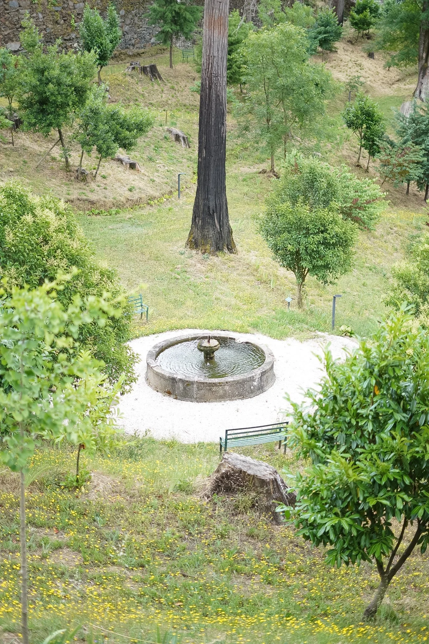 RMW07451.JPG