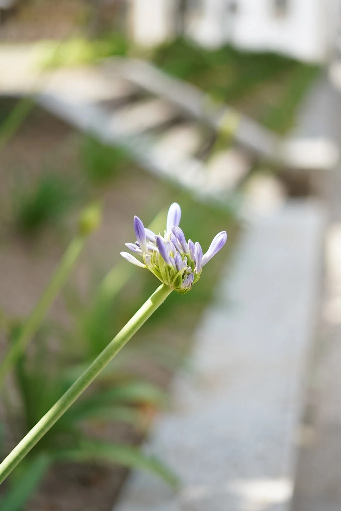 RMW07470.JPG