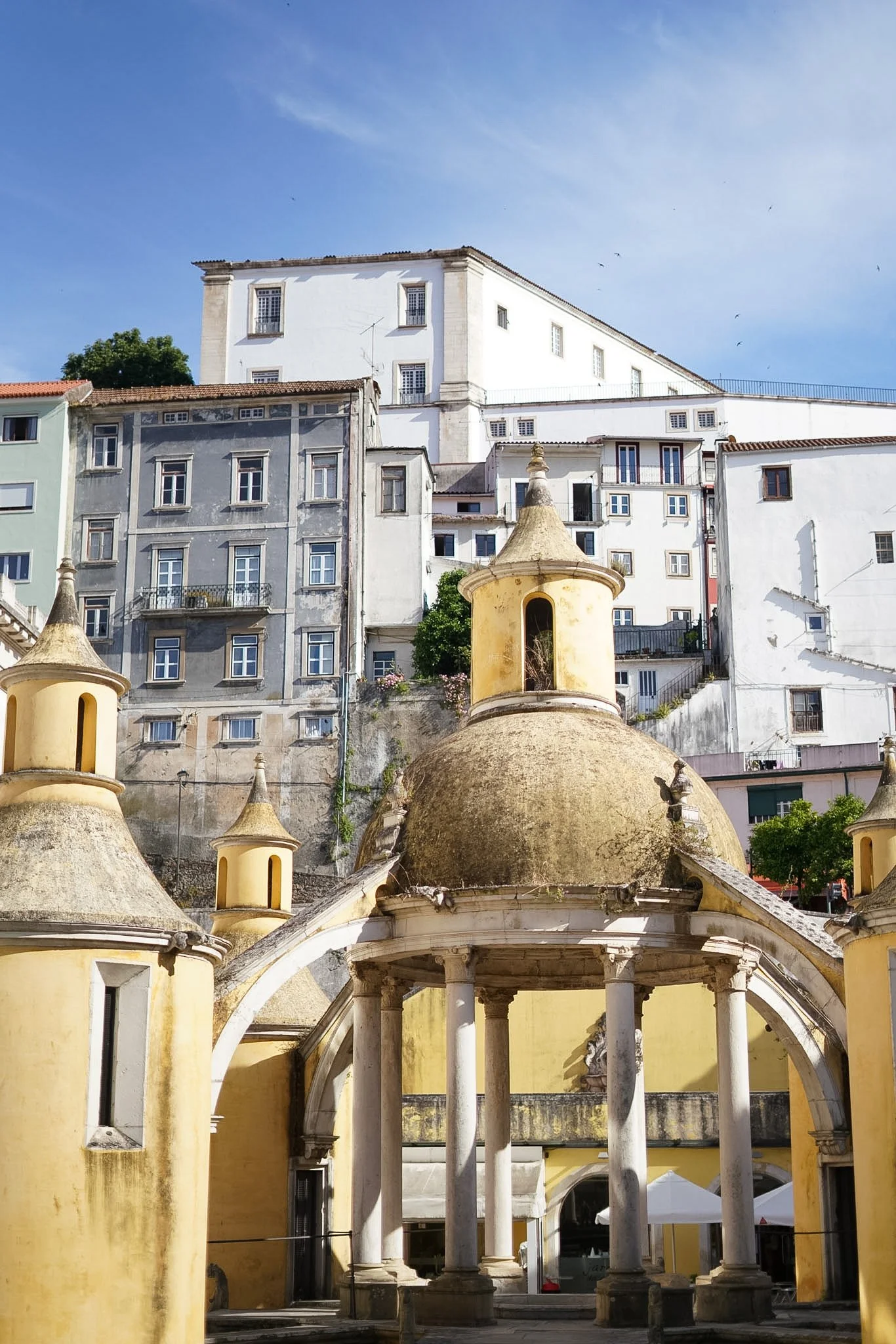 RMW07209.JPG
