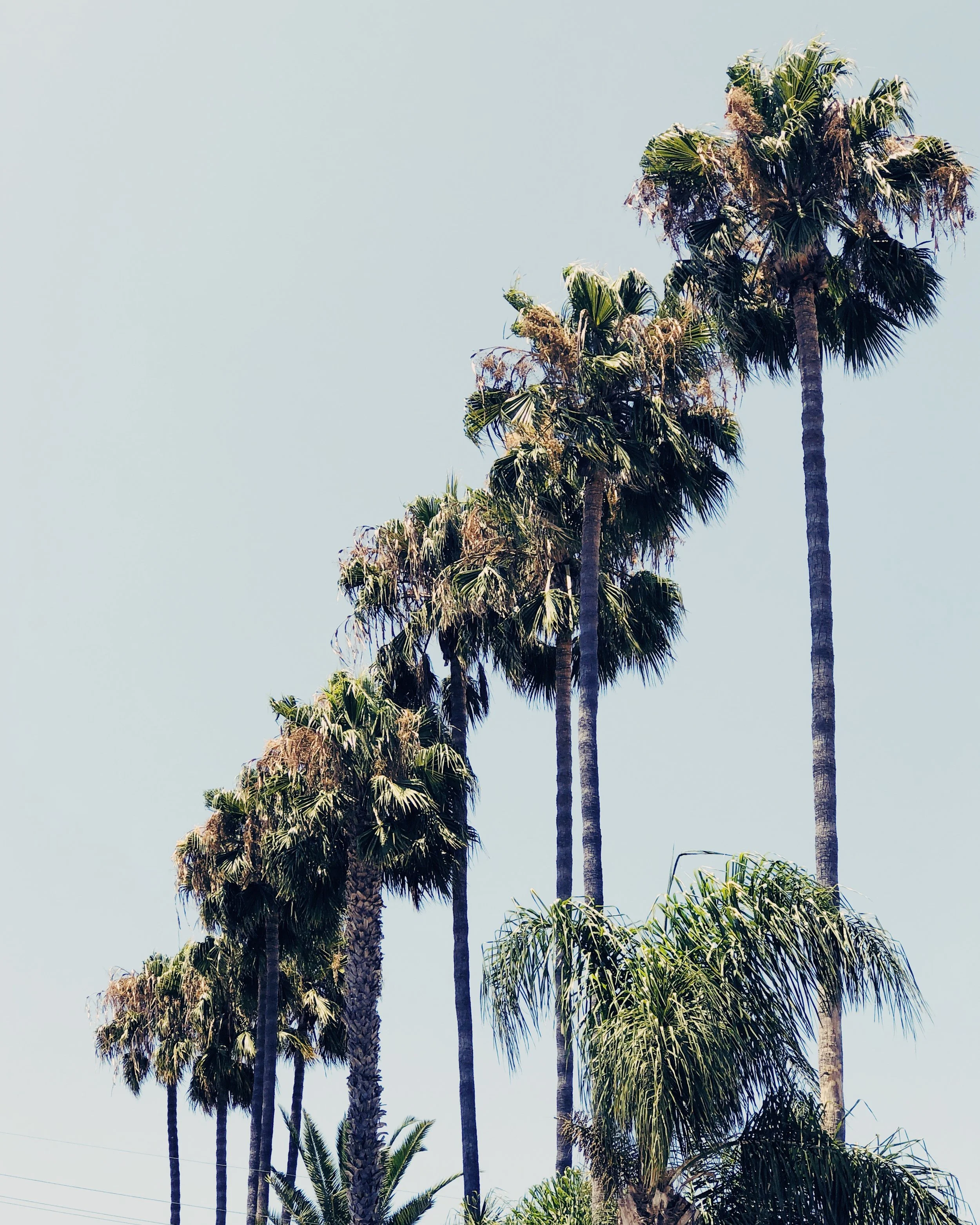Friday Link Love: Vacation Edition