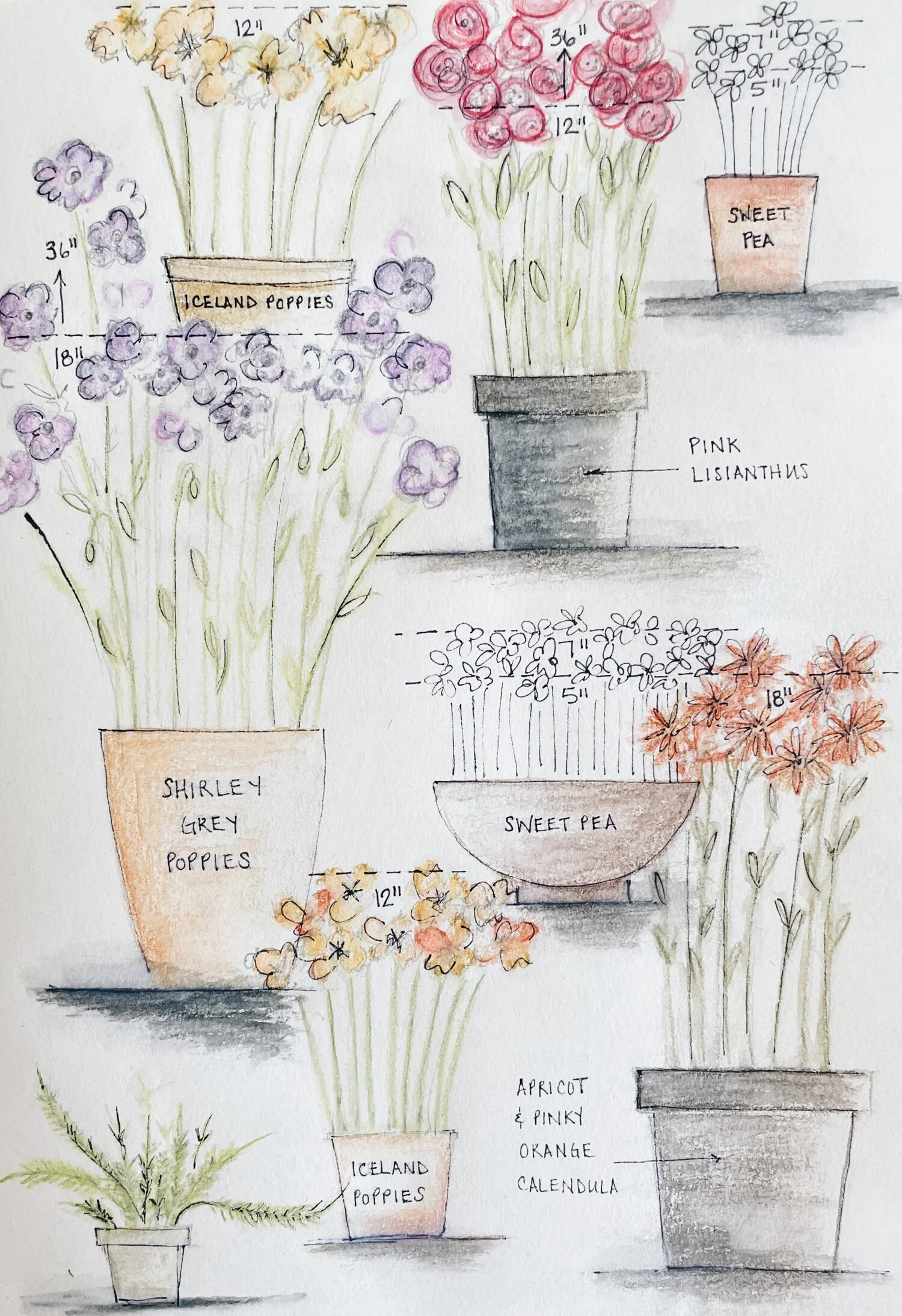 Nyla's Plans For Her Summer Garden