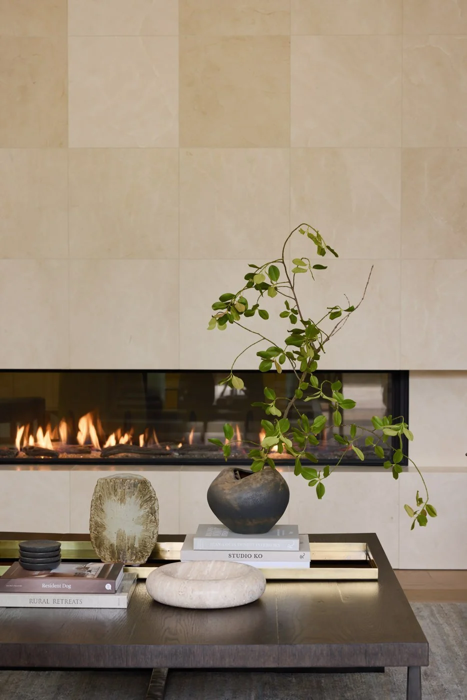 first Modern fireplace with vase and plant