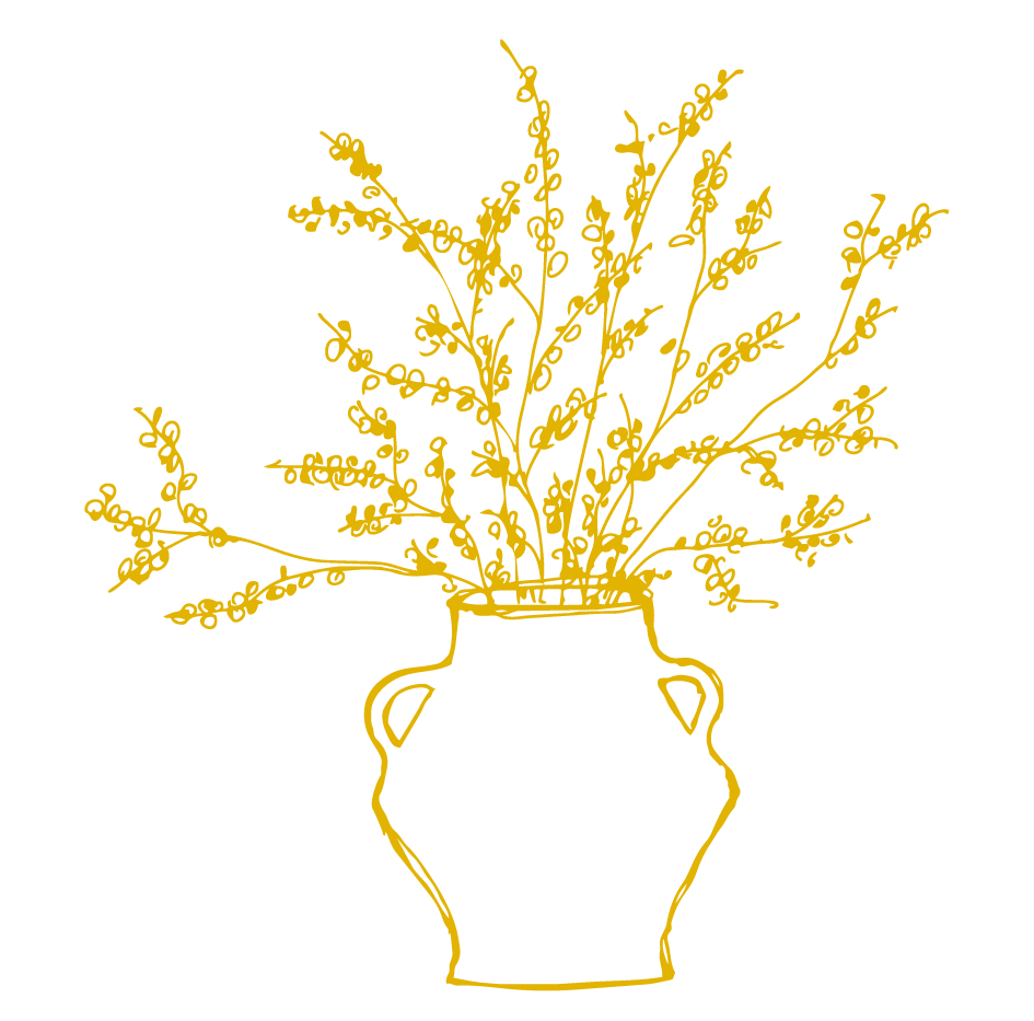 Outline illustration of a vase with a plant featuring many small, rounded leaves on thin, curly branches.
