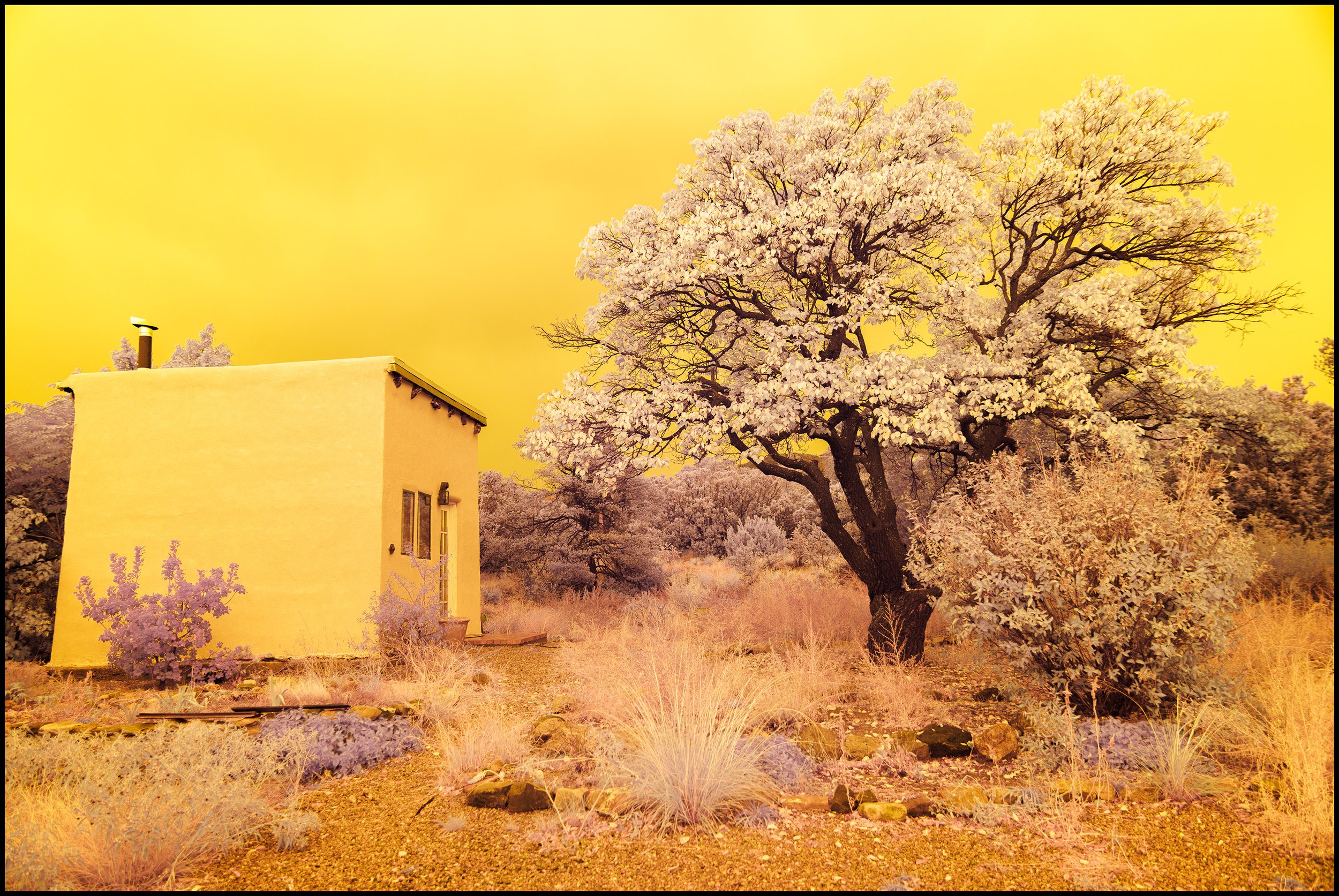 1Q6A1908-Editt_YELLOW_border.jpg