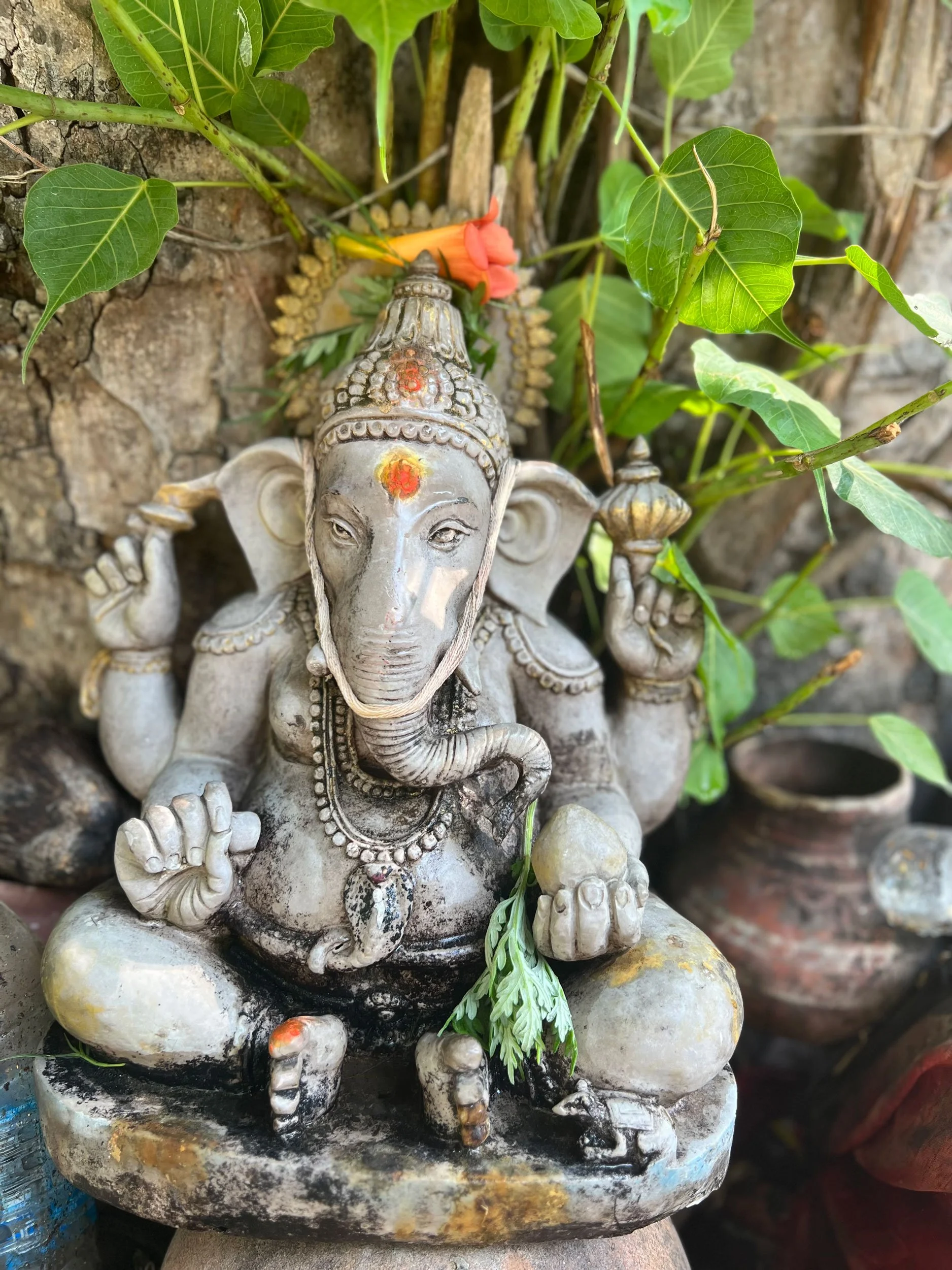 21-Day Jupiter Japa Journey—Free Yourself of Troubles