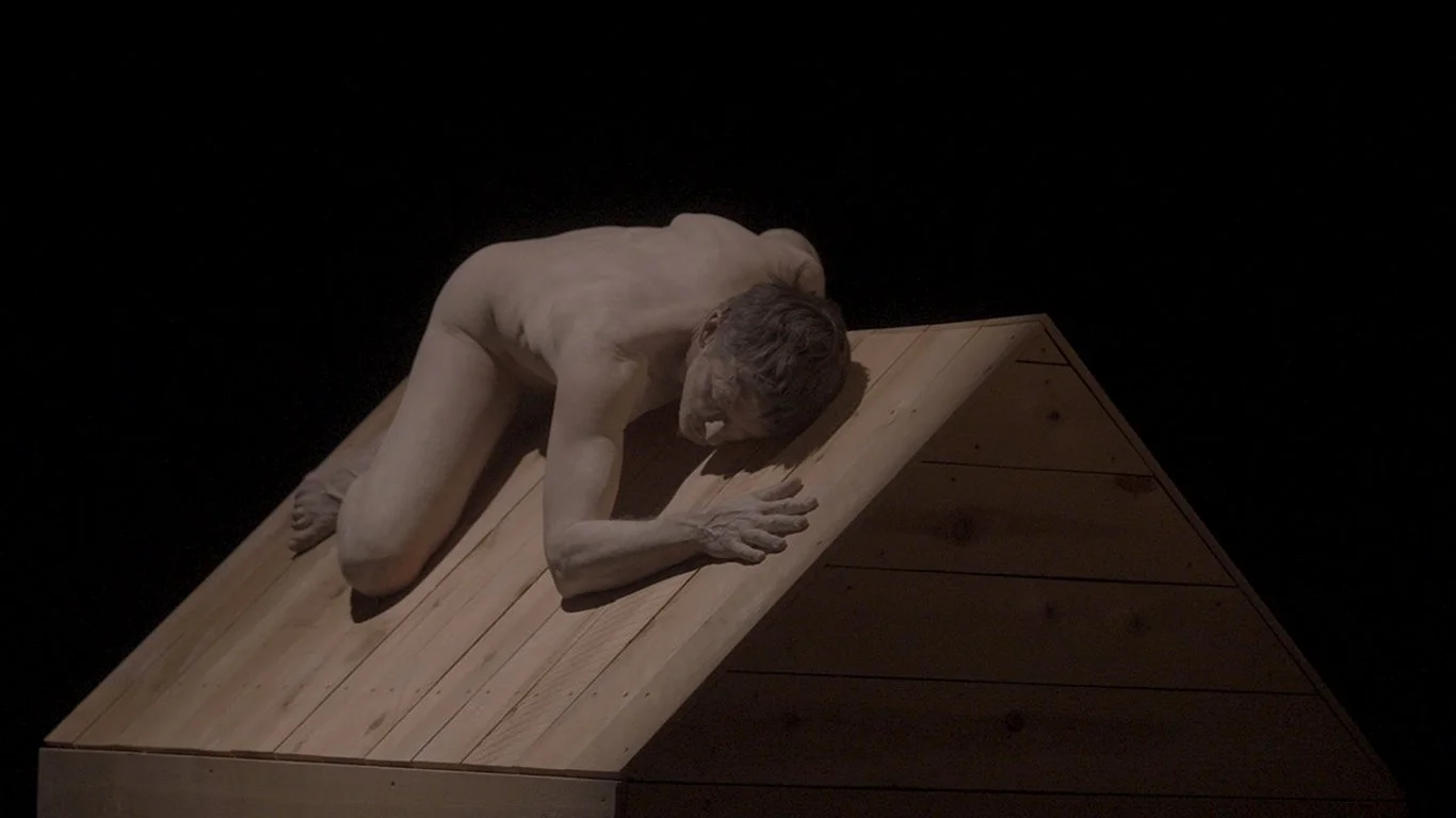 3_House_Naked_Laying.jpg