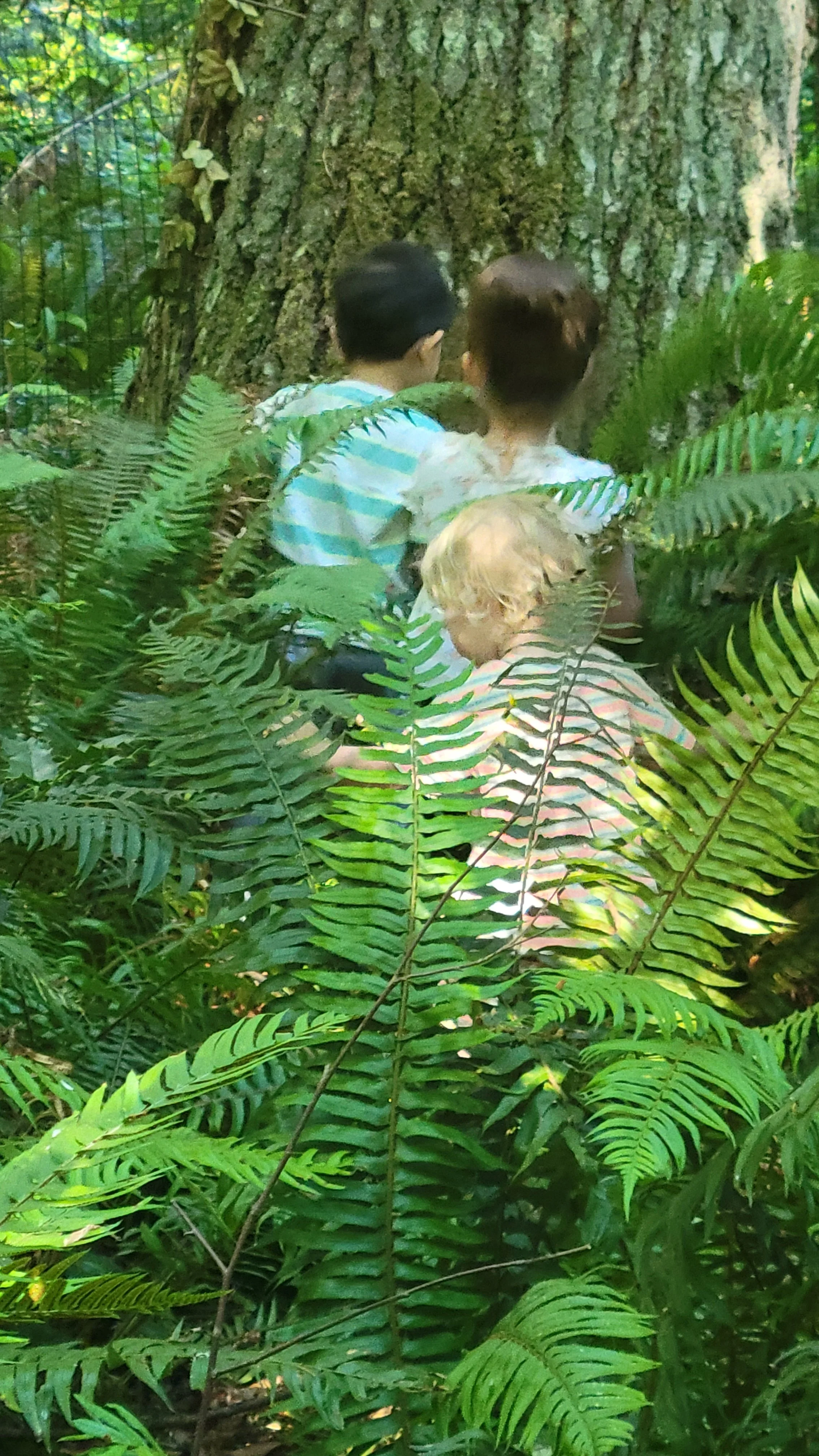 20260706_092951.jpg