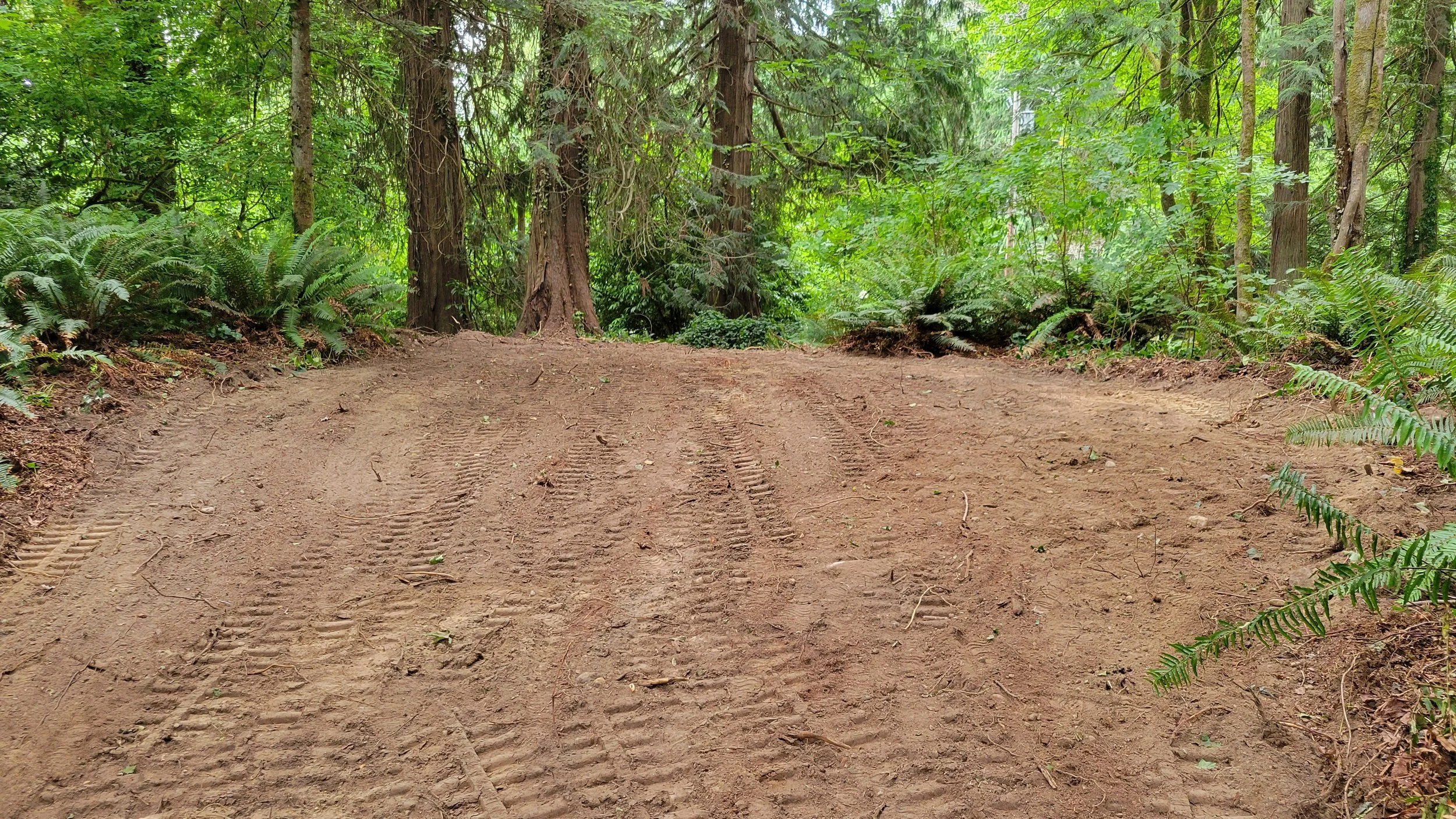 20260628_174047.jpg