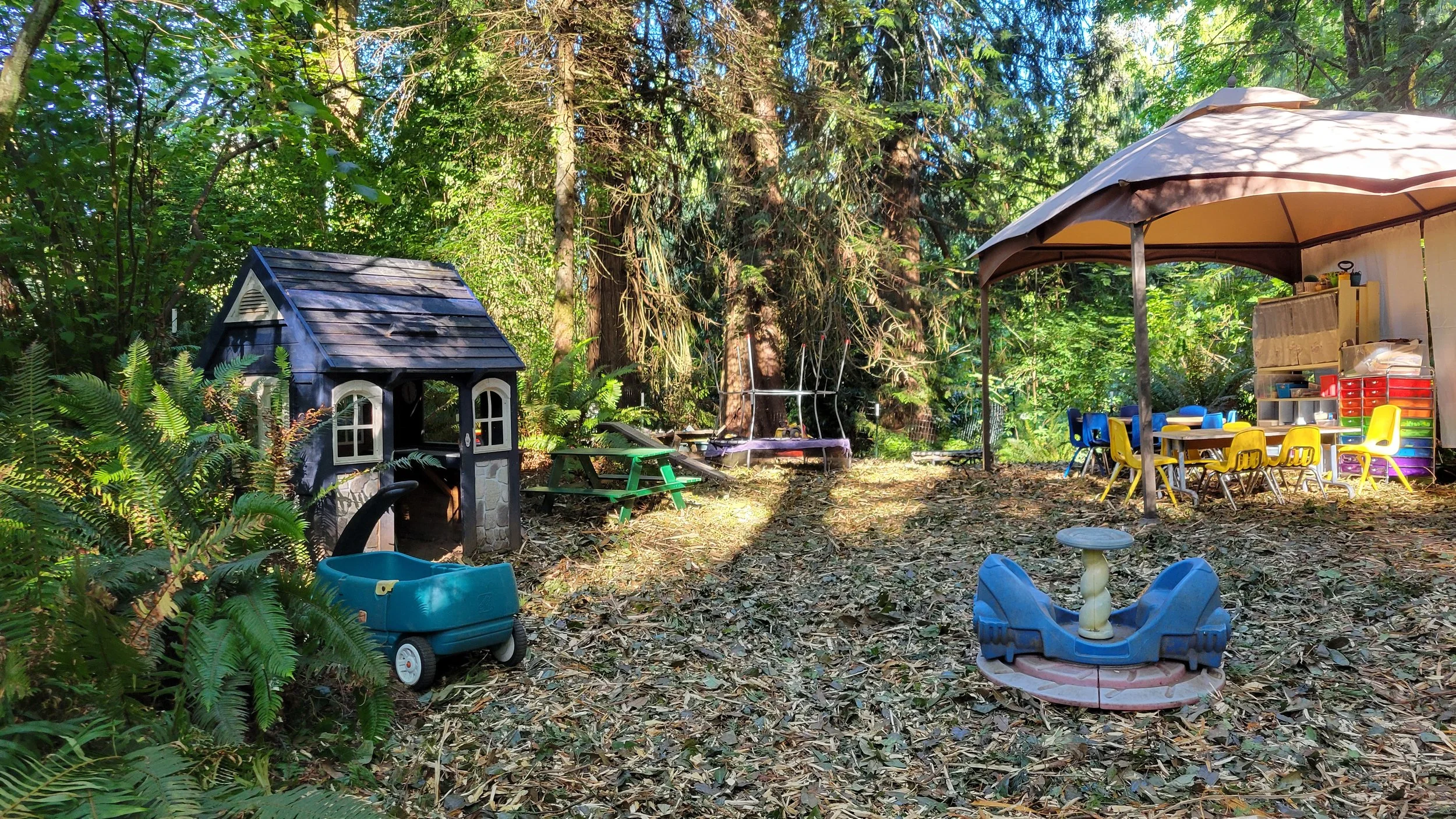 20260704_181336.jpg