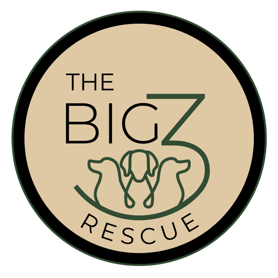 The Big 3 Rescue