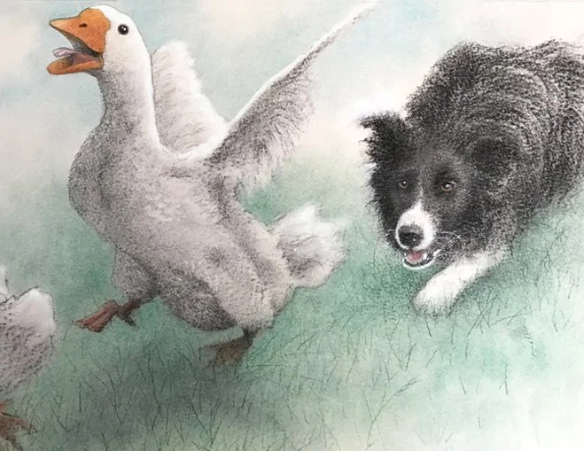 After The Goose.jpg