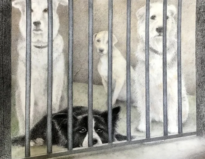 dogs in jail web.jpg