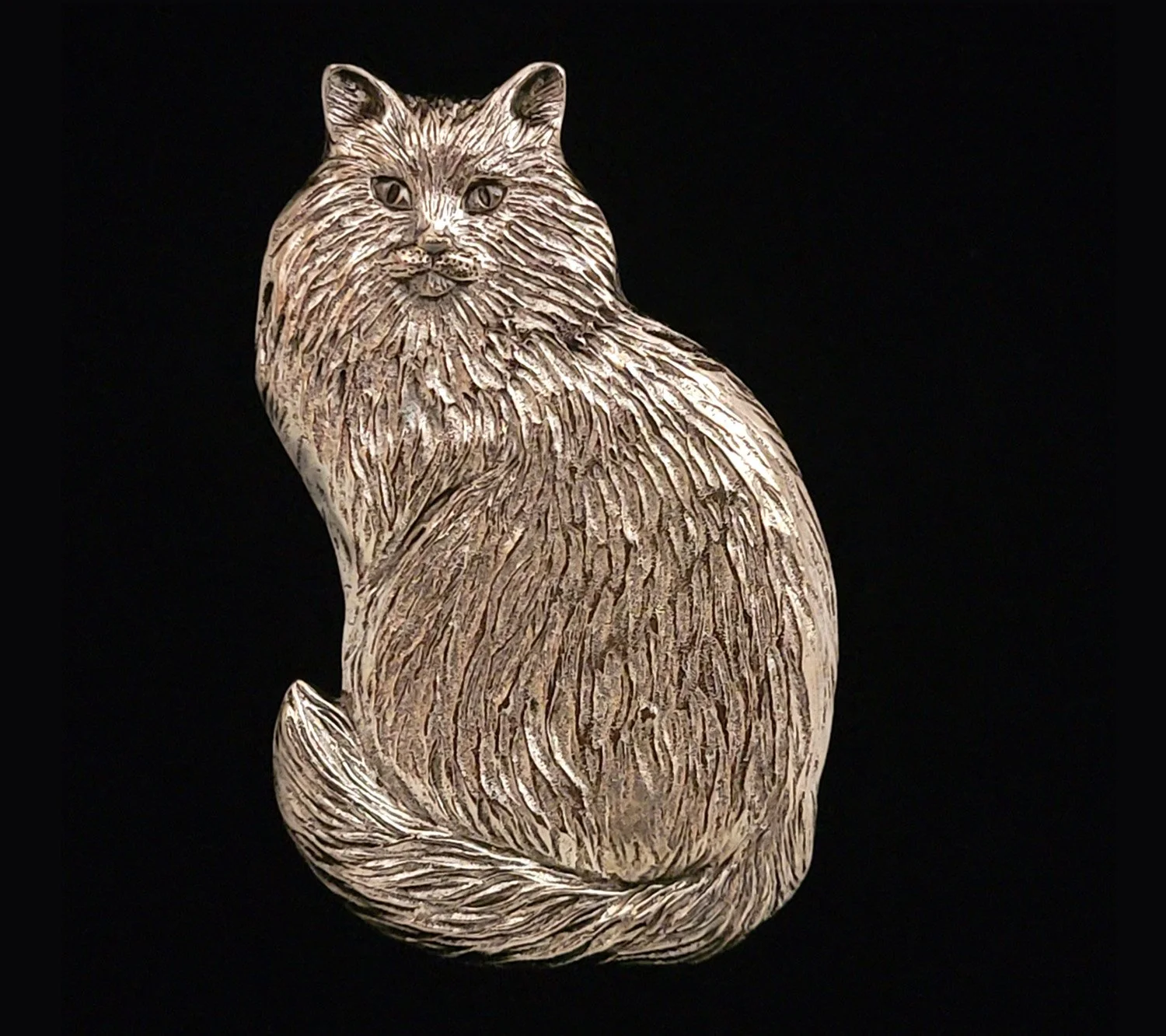 Coon Cat.jpg