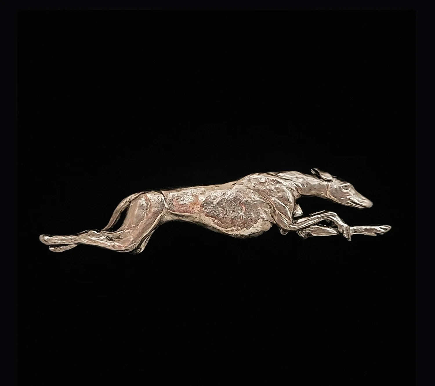 Greyhound.jpg