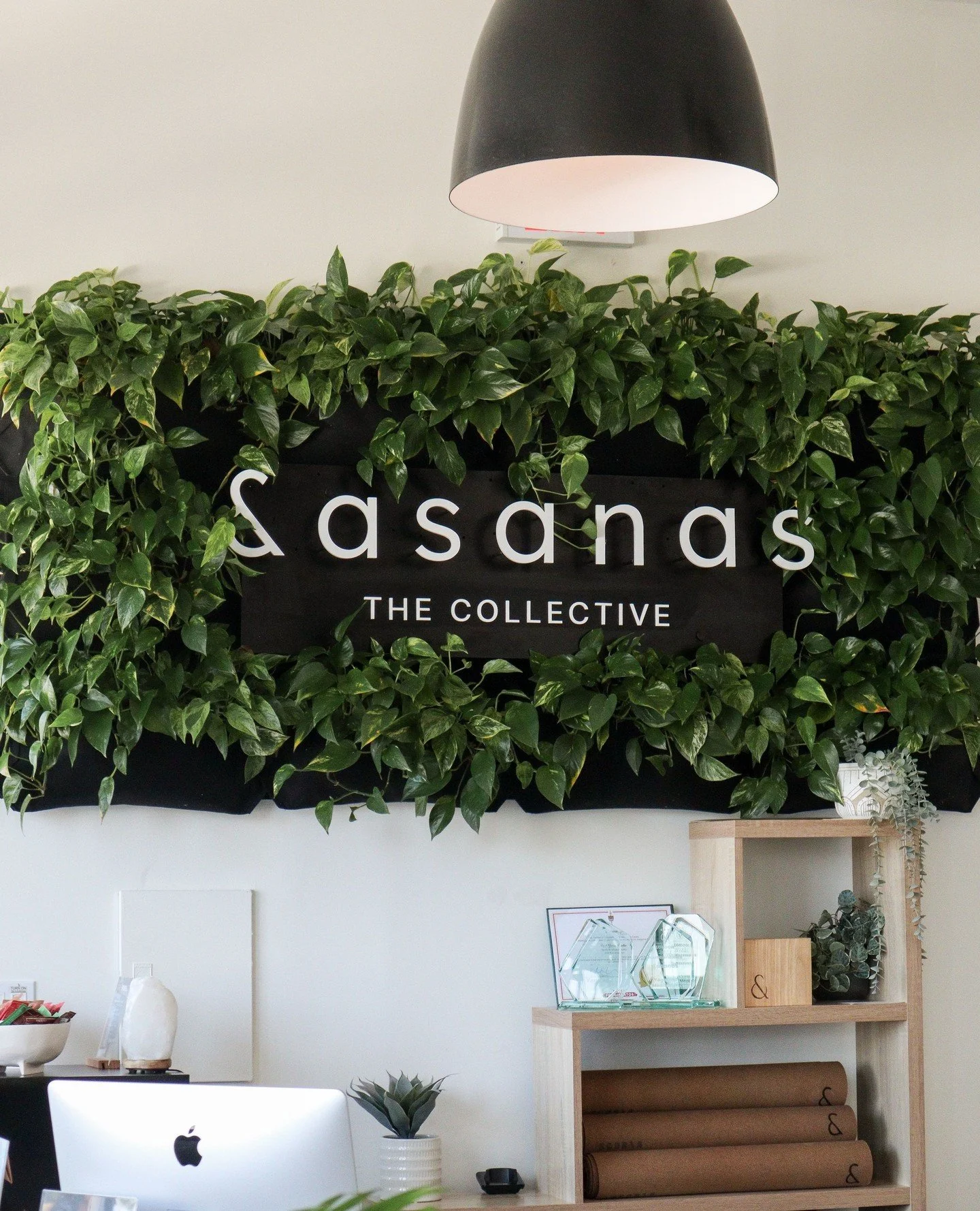 There&rsquo;s something really satisfying about seeing a brand identity you brought to life fully living in its environment 🤩 worked on the &amp;asanas refresh last year and finally sharing some photos from the project.