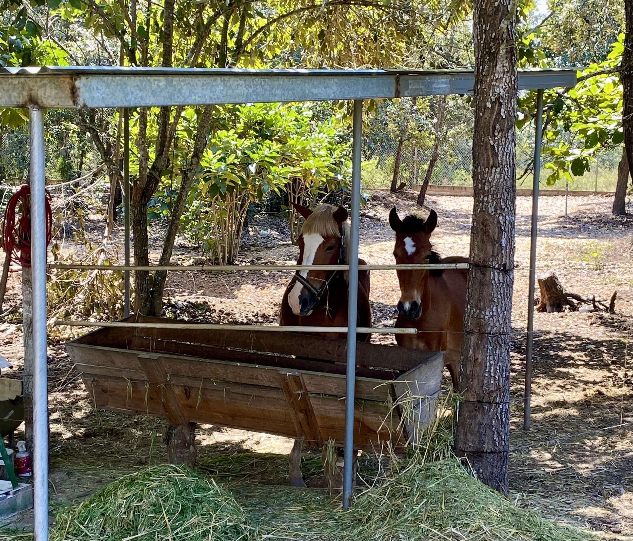 Horse corral for horse therapy