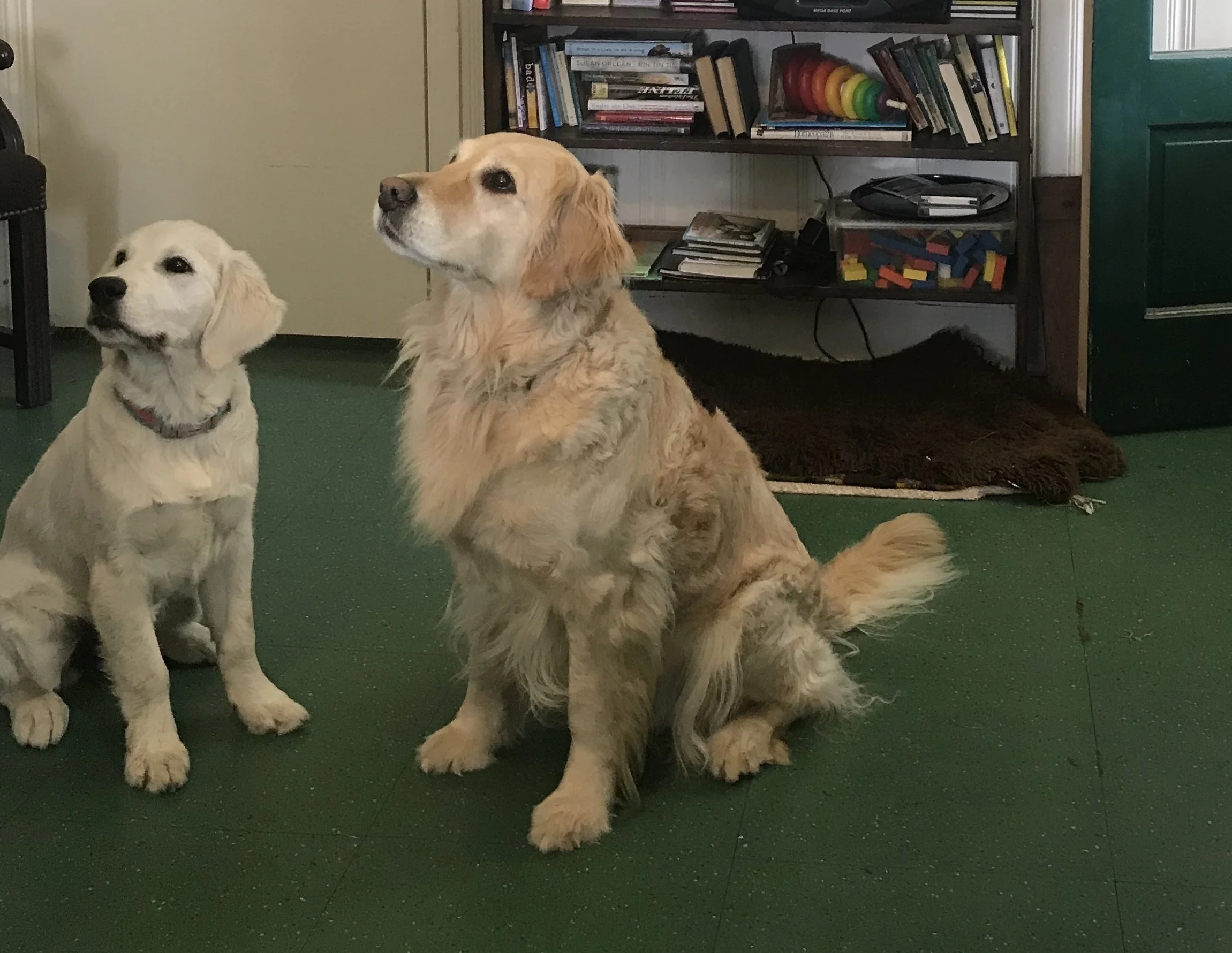 Helpful office patients