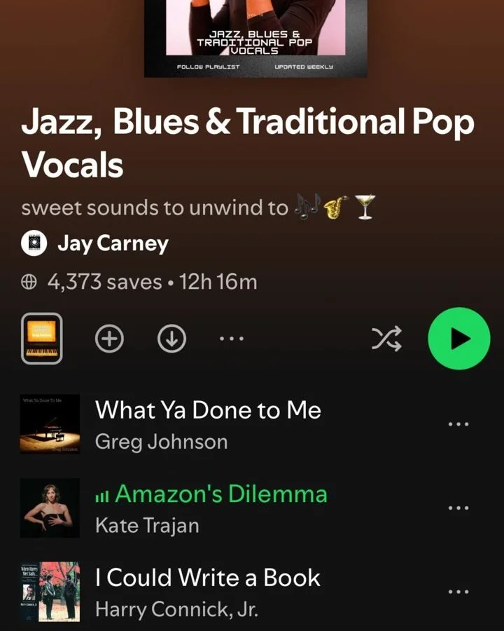 🎹 Big thanks to @jaylofimusic for including Amazon's Dilemma in this playlist of sweet melodies. 🎶 It's fun to hear it on a list with folks like Tony Bennett - ALSO, who knew that Alanis Morissette did a jazz cover of Let's Do It?! 🤯🤩

Amazon's D