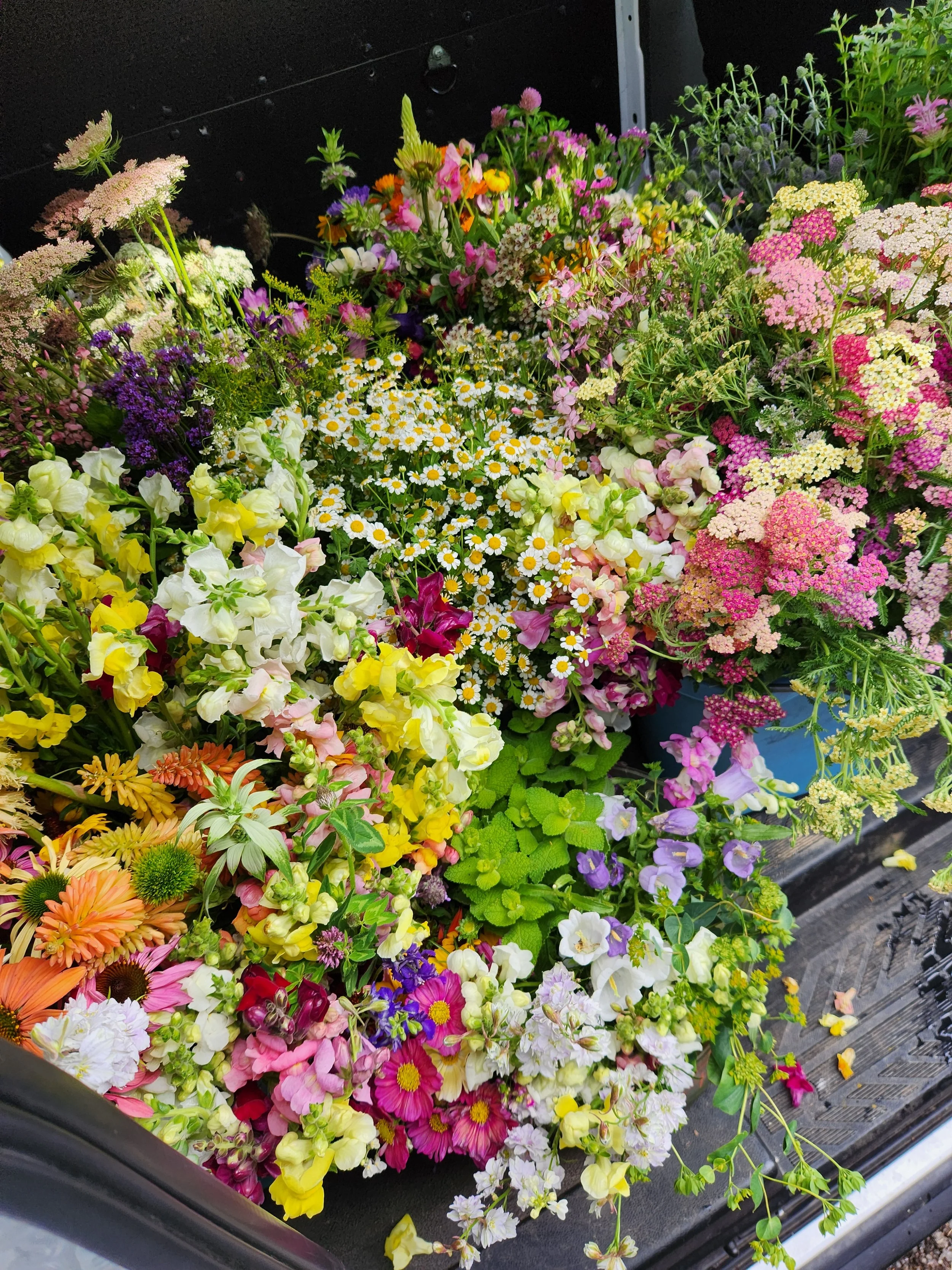 A variety of colorful fresh flowers arranged in a bouquet or display, including daisies, snapdragons, cosmos, and other garden flowers, placed on a metal surface.
