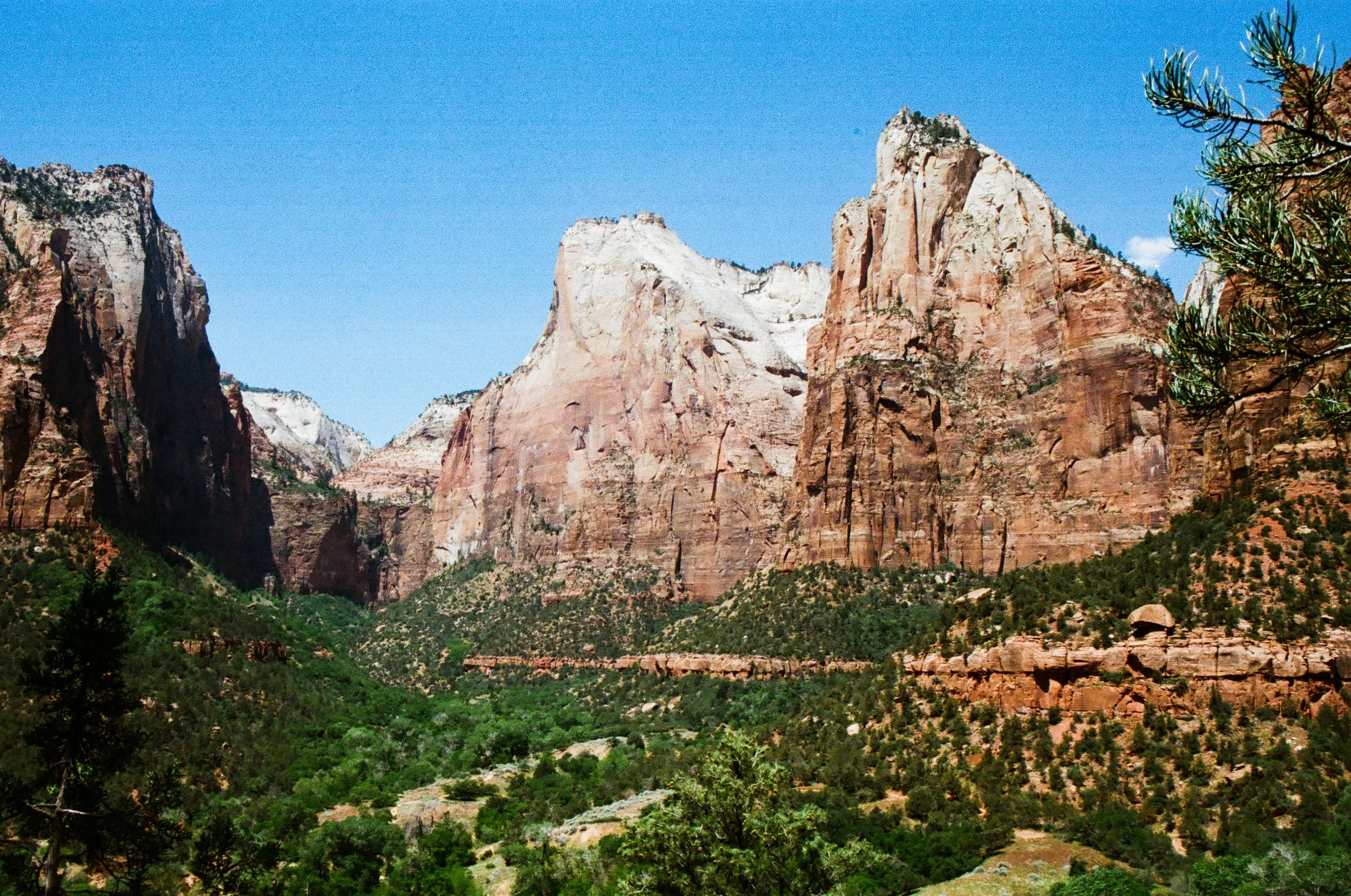 000966420023.jpg