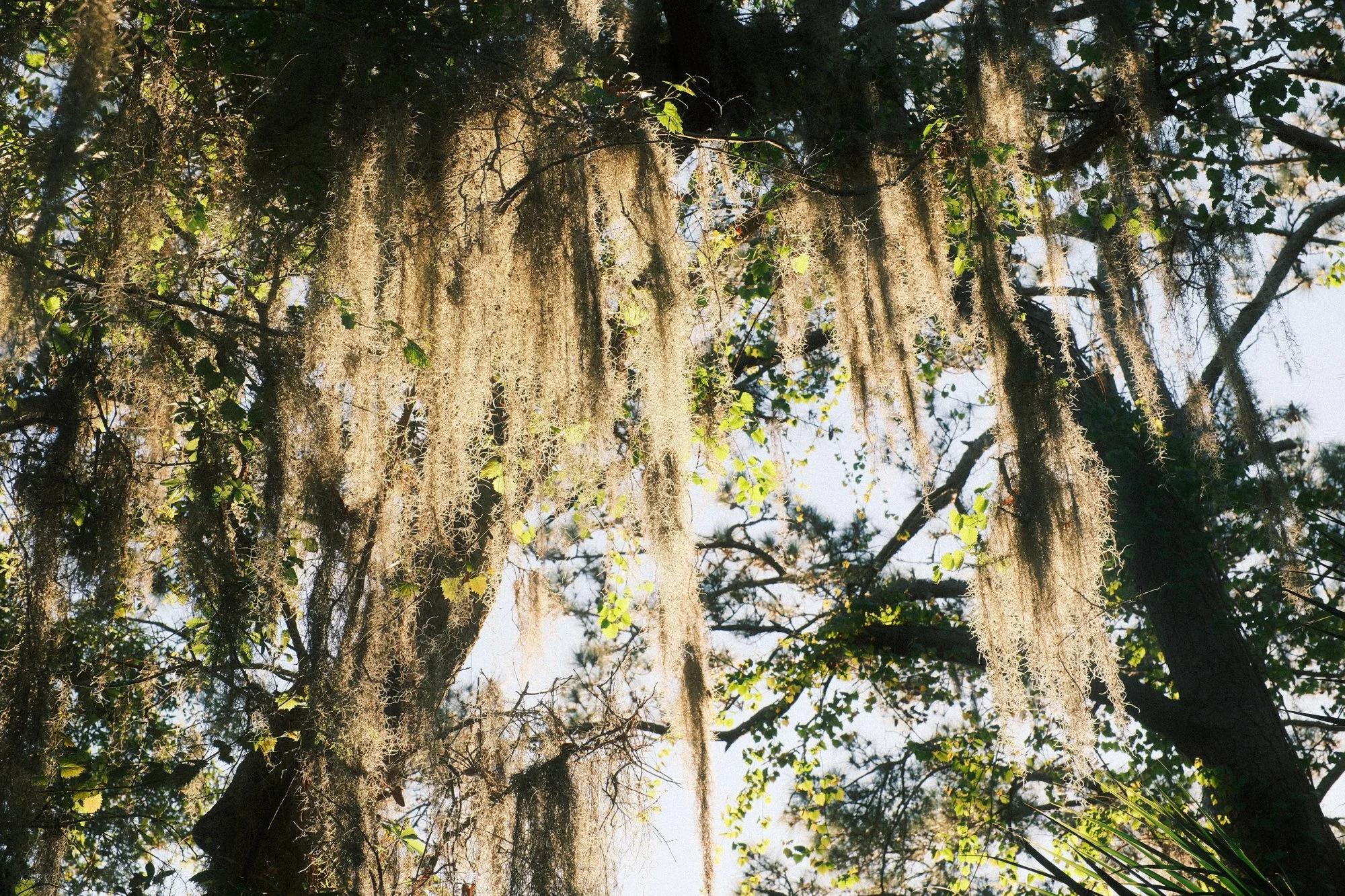 South Carolina