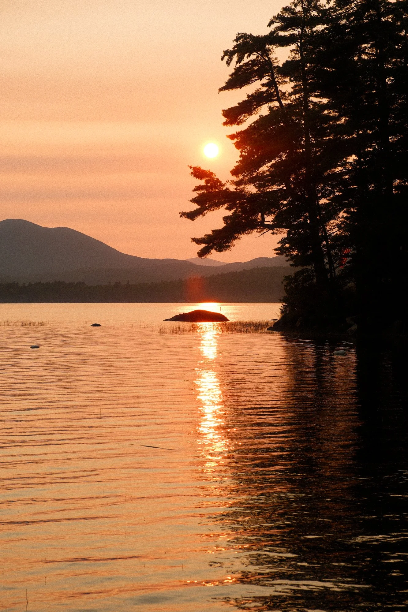 DSCF2544.jpg