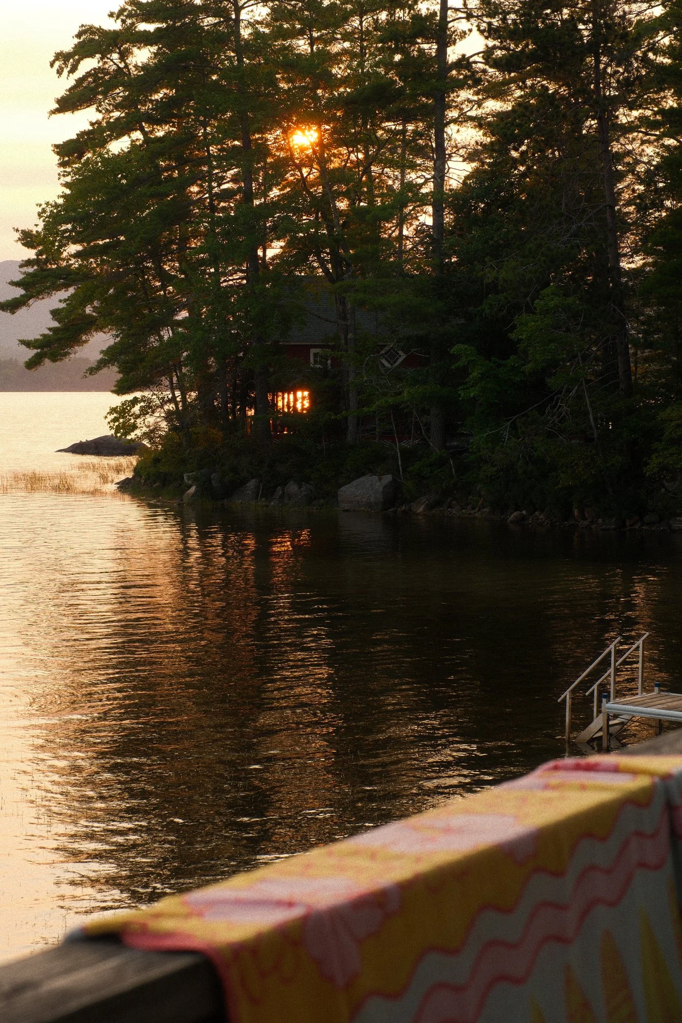 DSCF2538.jpg