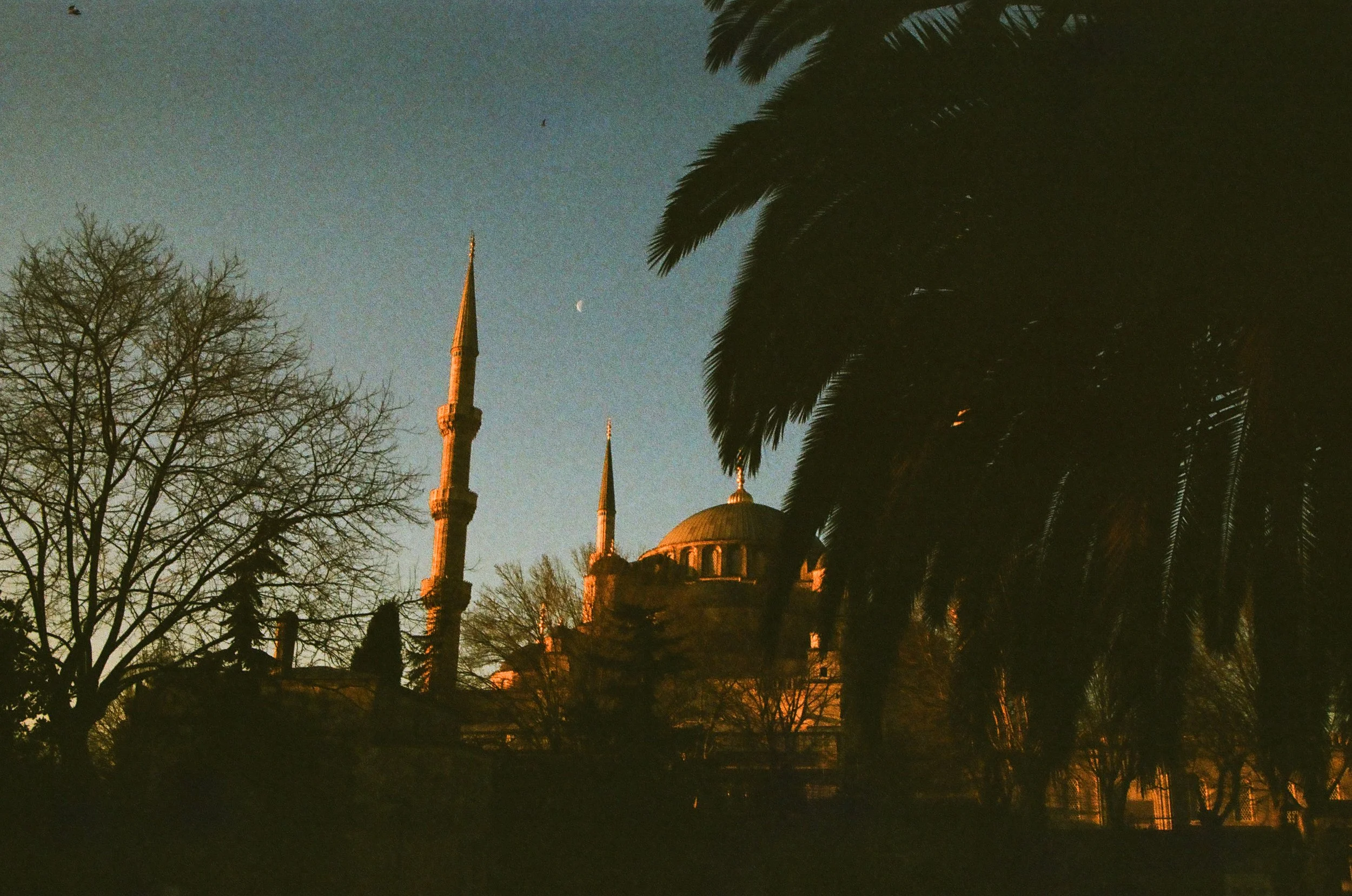 000341830016.jpg