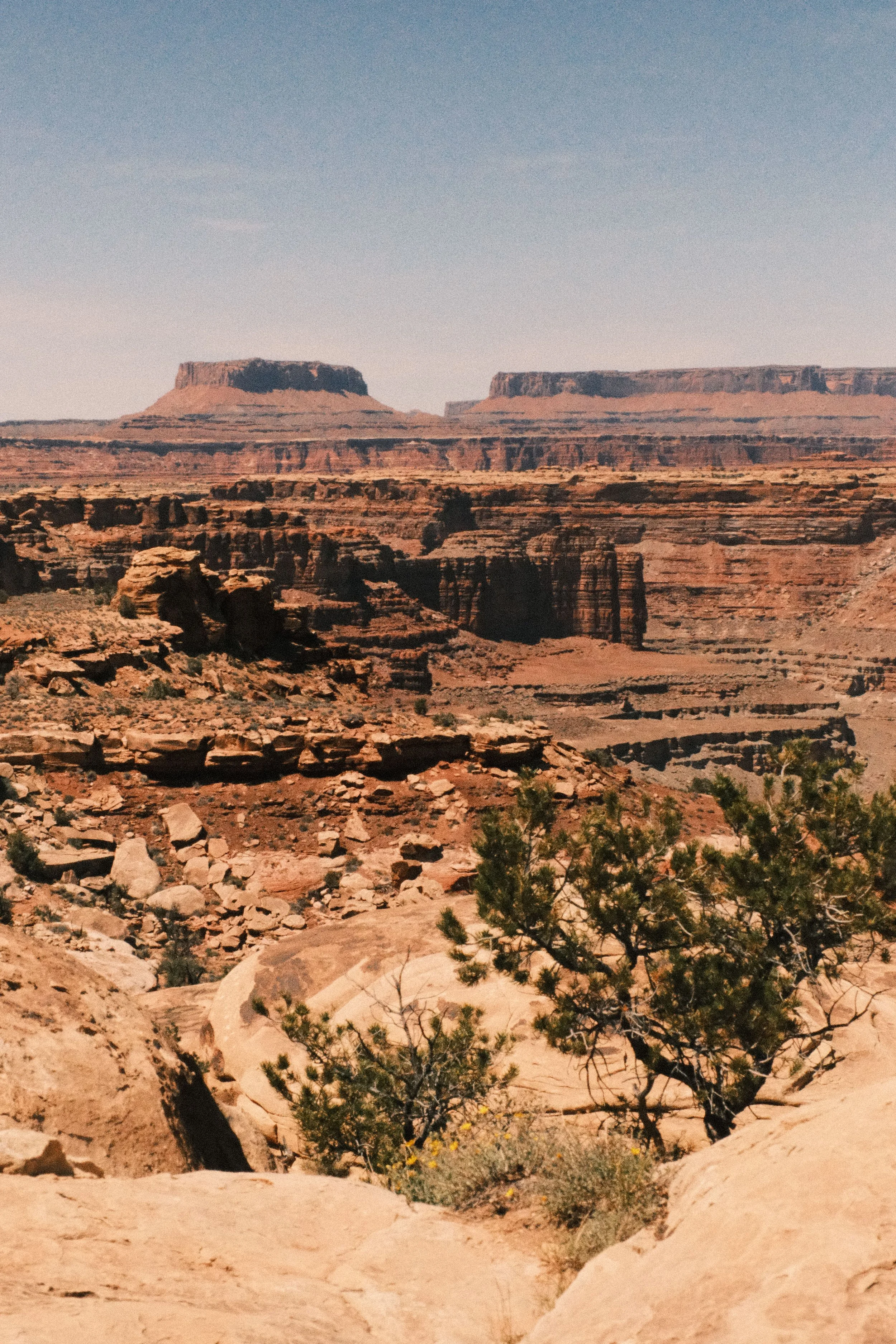 DSCF1433.jpg