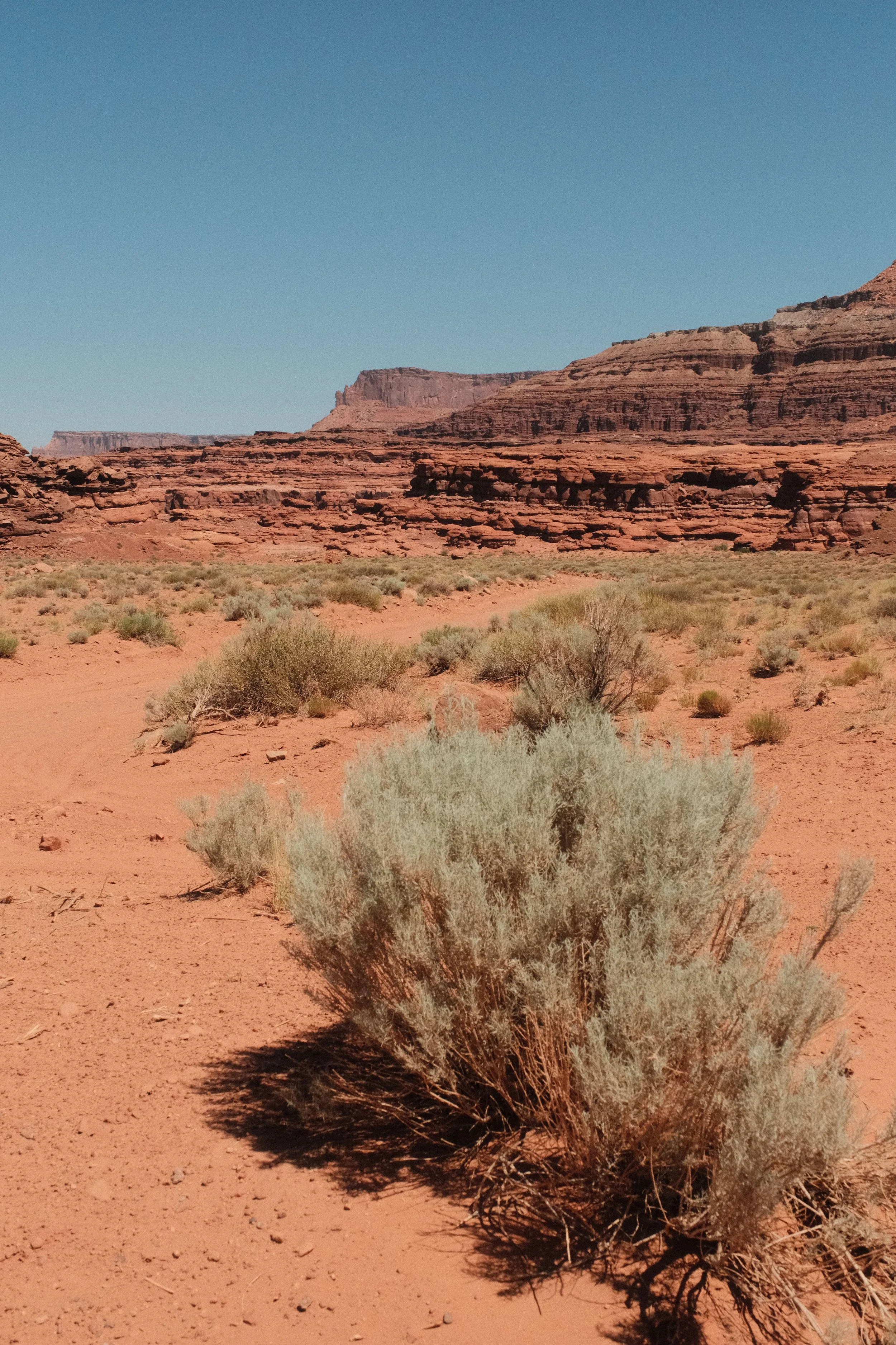 DSCF1736.jpg