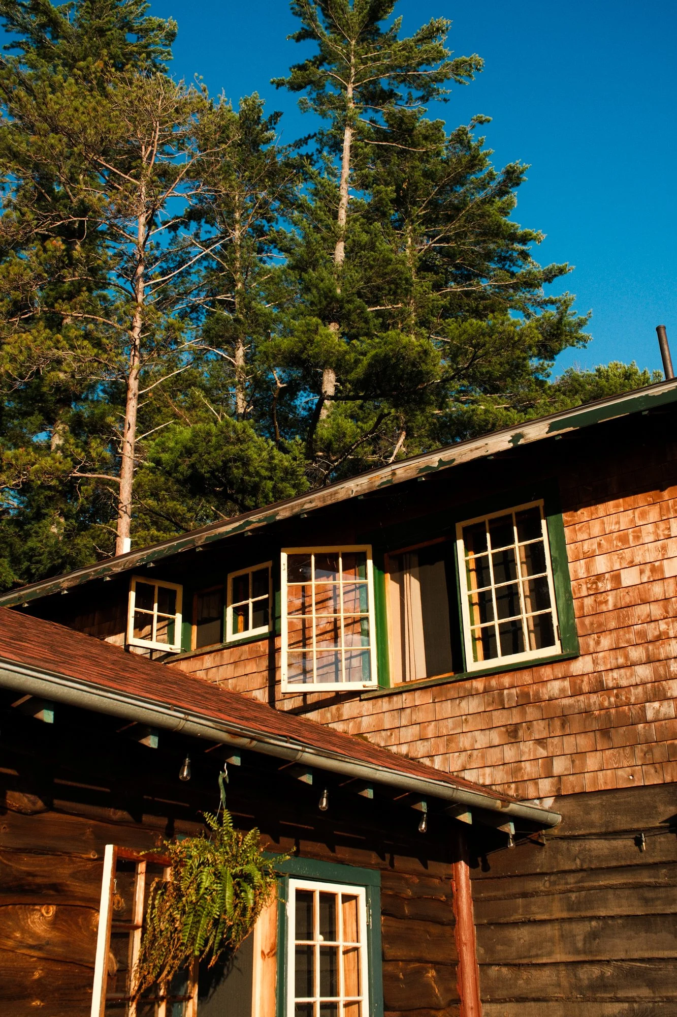 DSCF2781.jpg