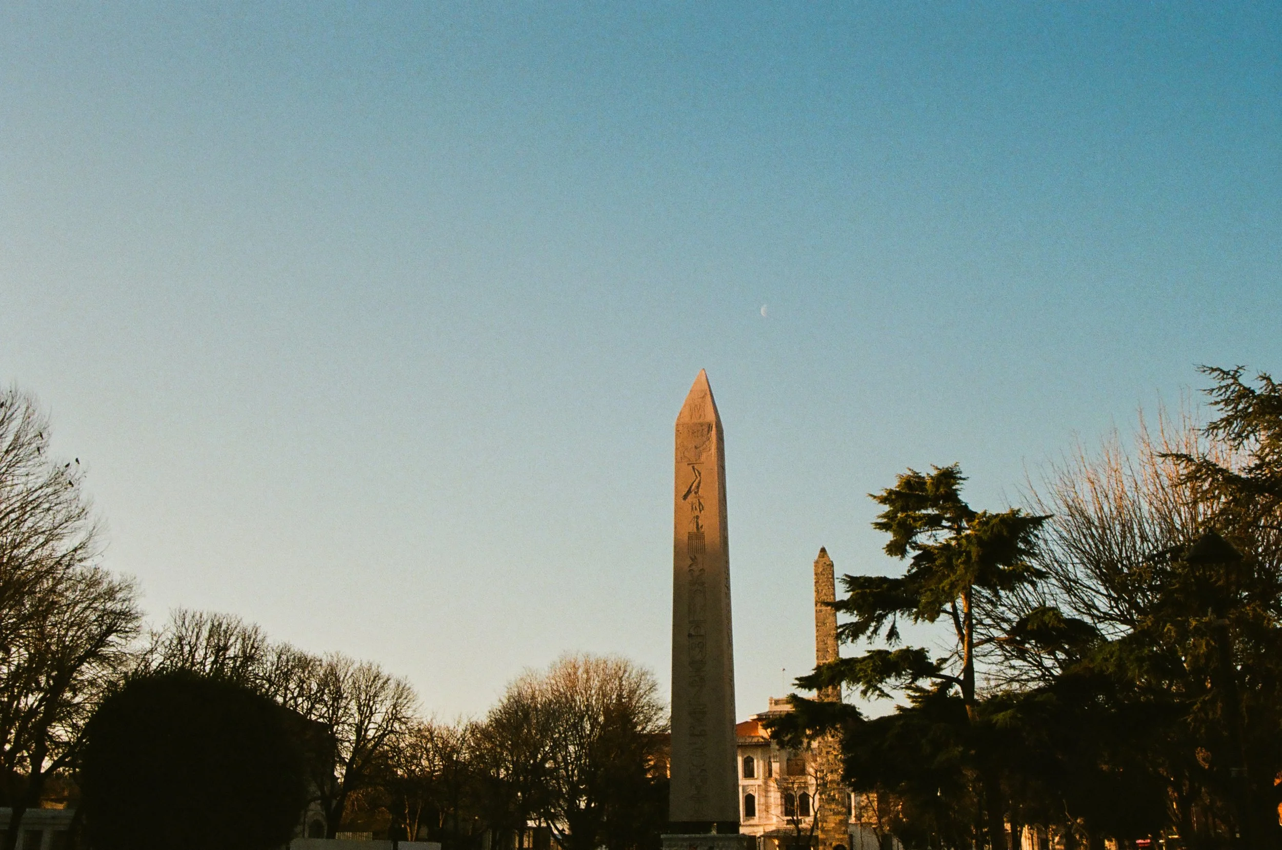 000341830025.jpg