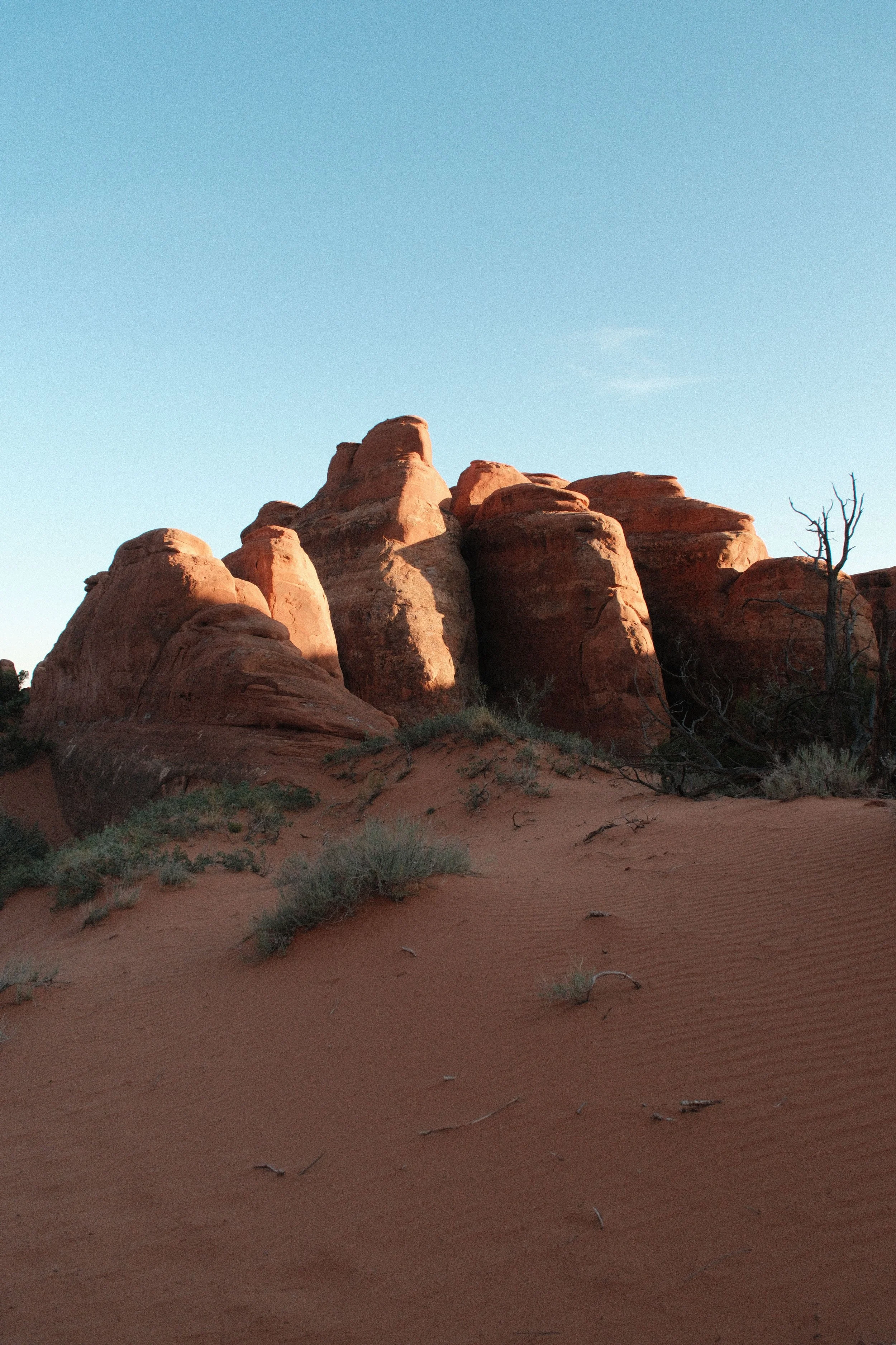 DSCF1671.jpg