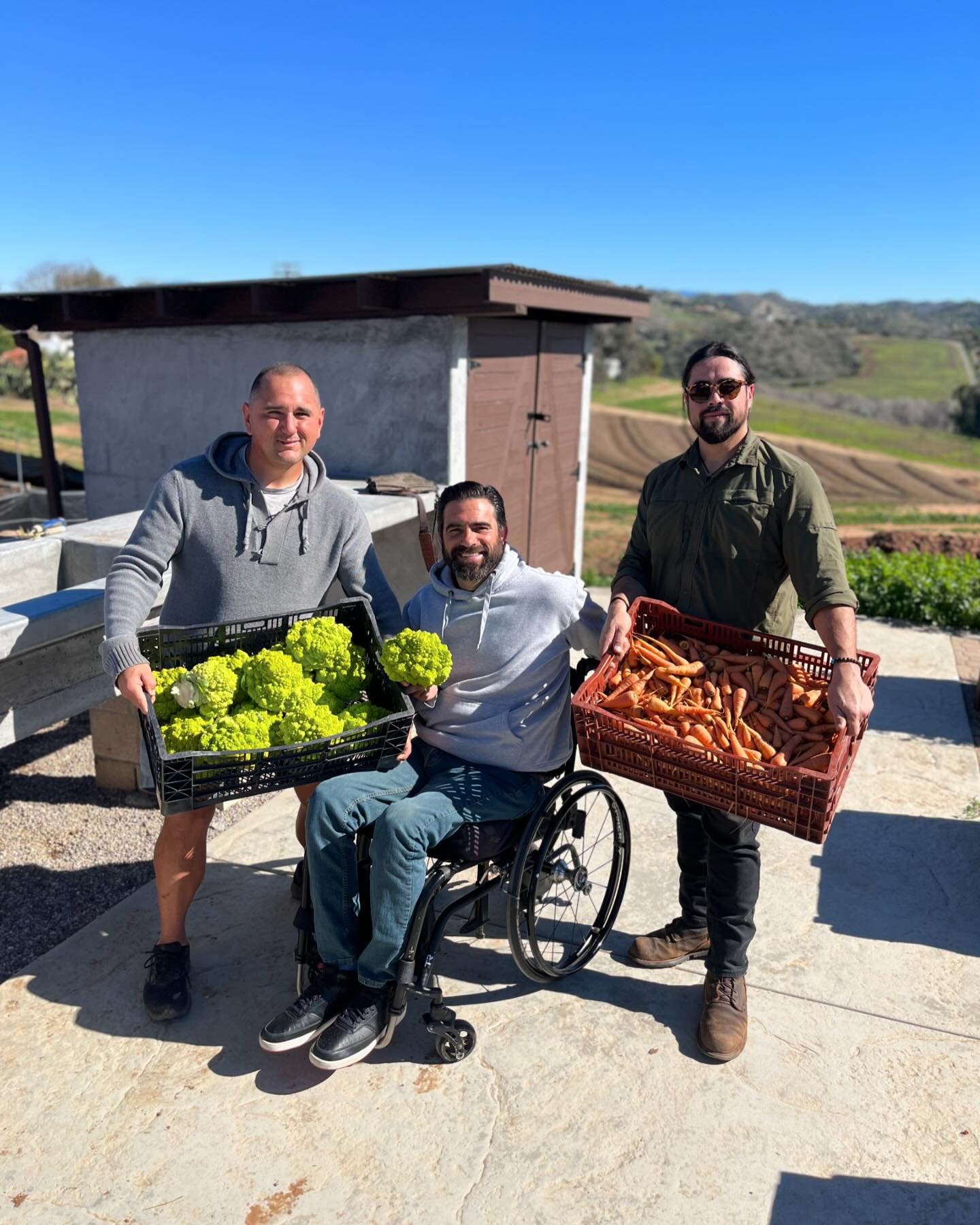 We had an awesome harvest this morning consisting of #romanesco &amp; #carrots! What a privilege to grow nutrient dense local produce for @operationhopenc! #growfood #regenerativeagriculture #dontpanicitsorganic