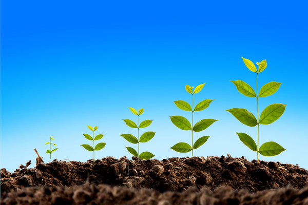 Grow…Grow…Grow…Your Leadership With These 3 Nutrients