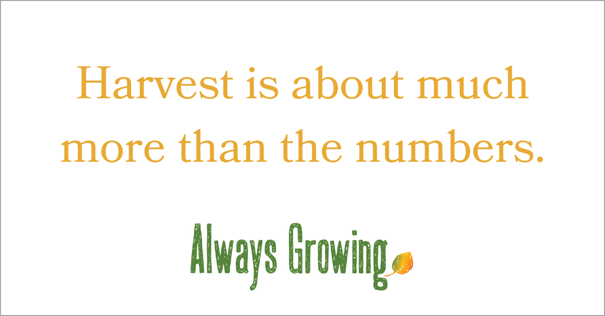 Seven Laws Of The Harvest Followed By Successful Leaders