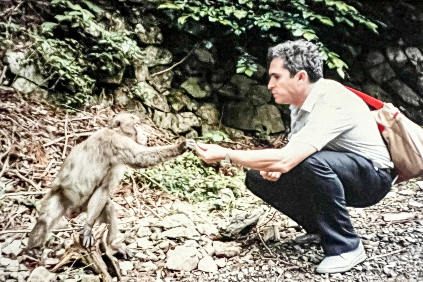 Osaka Japan April 1991