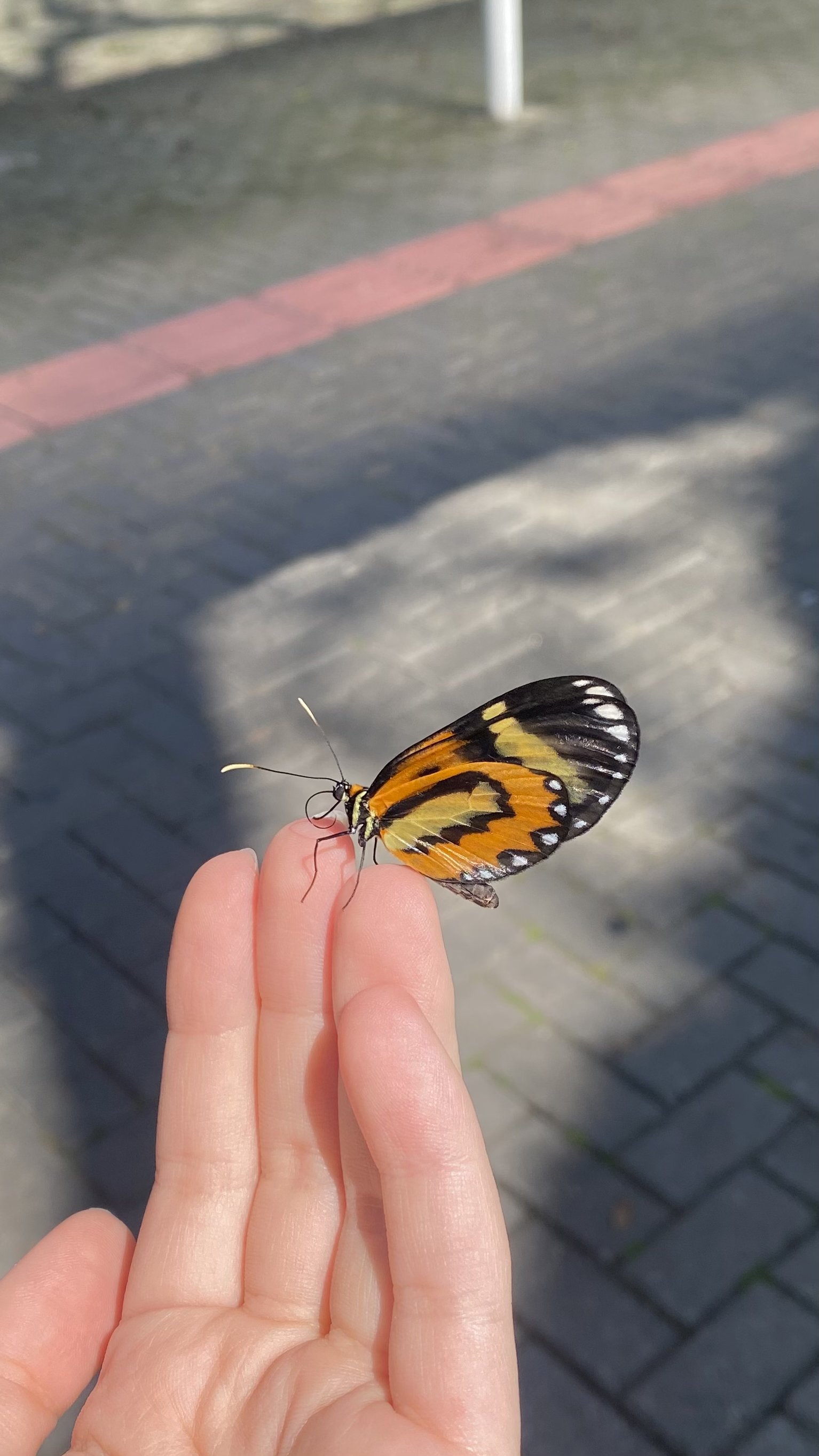 The Biggest Lesson I’ve Learned with a Rare Disease Diagnosis