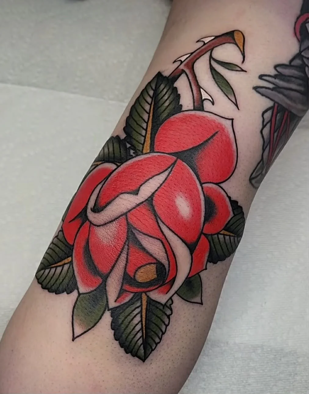 c08739b9-ec0c-4bee-b18f-705f1b93e6ef.jpg