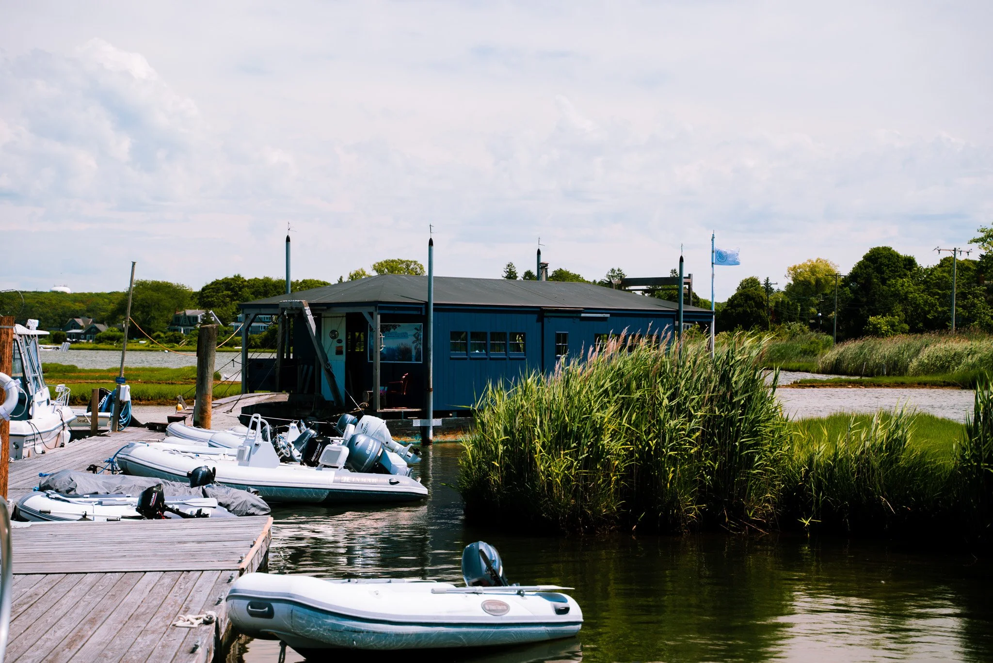 dock with small boats and building, grassy landscape