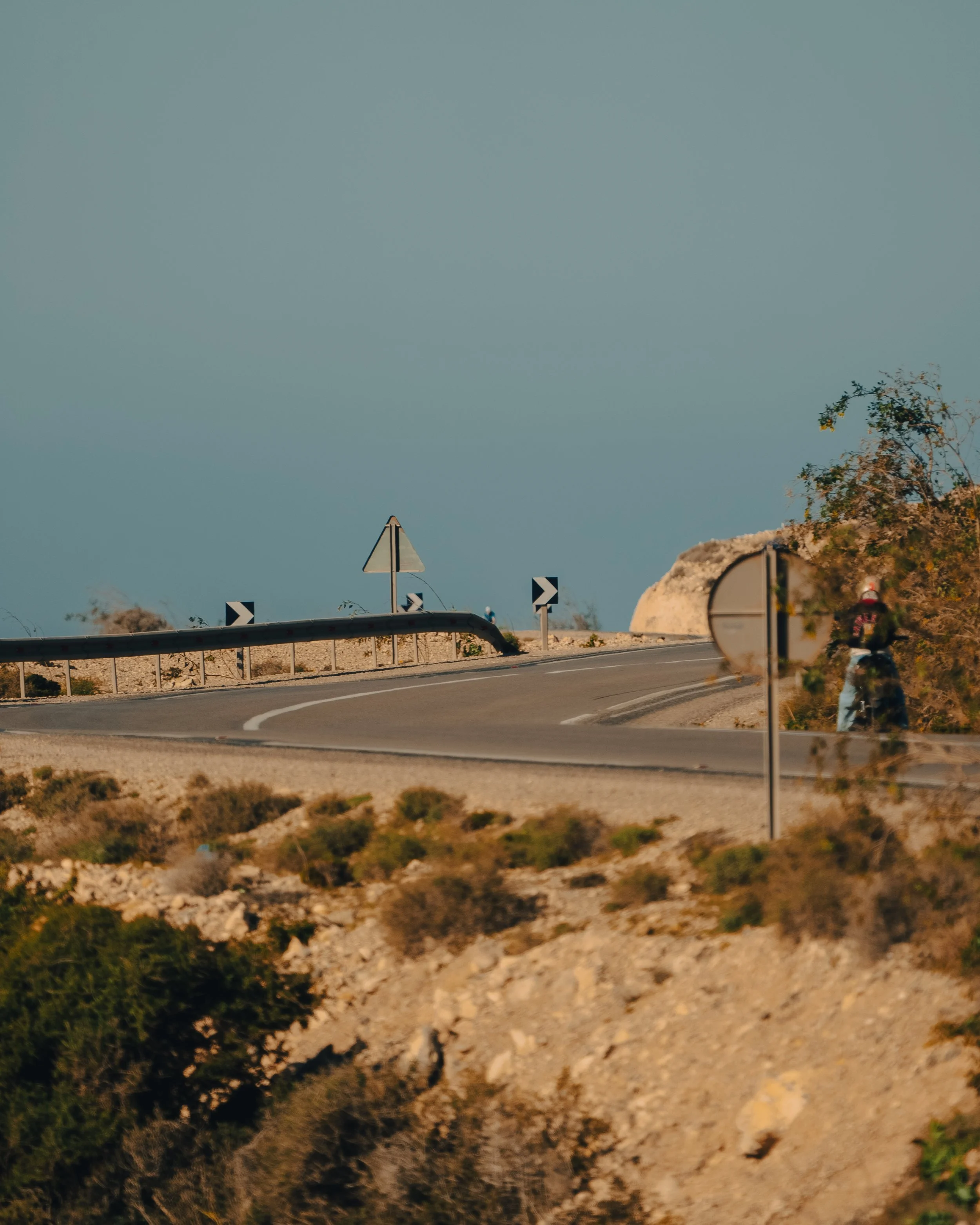 DSC01661-2.jpg