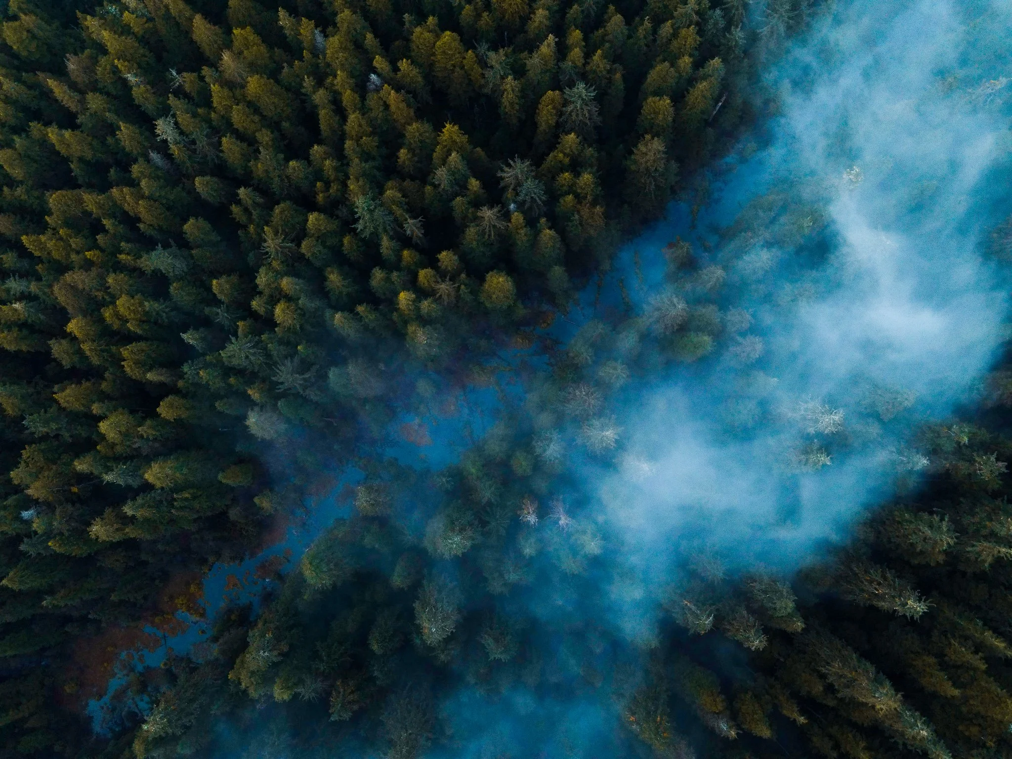DJI_0285.jpg