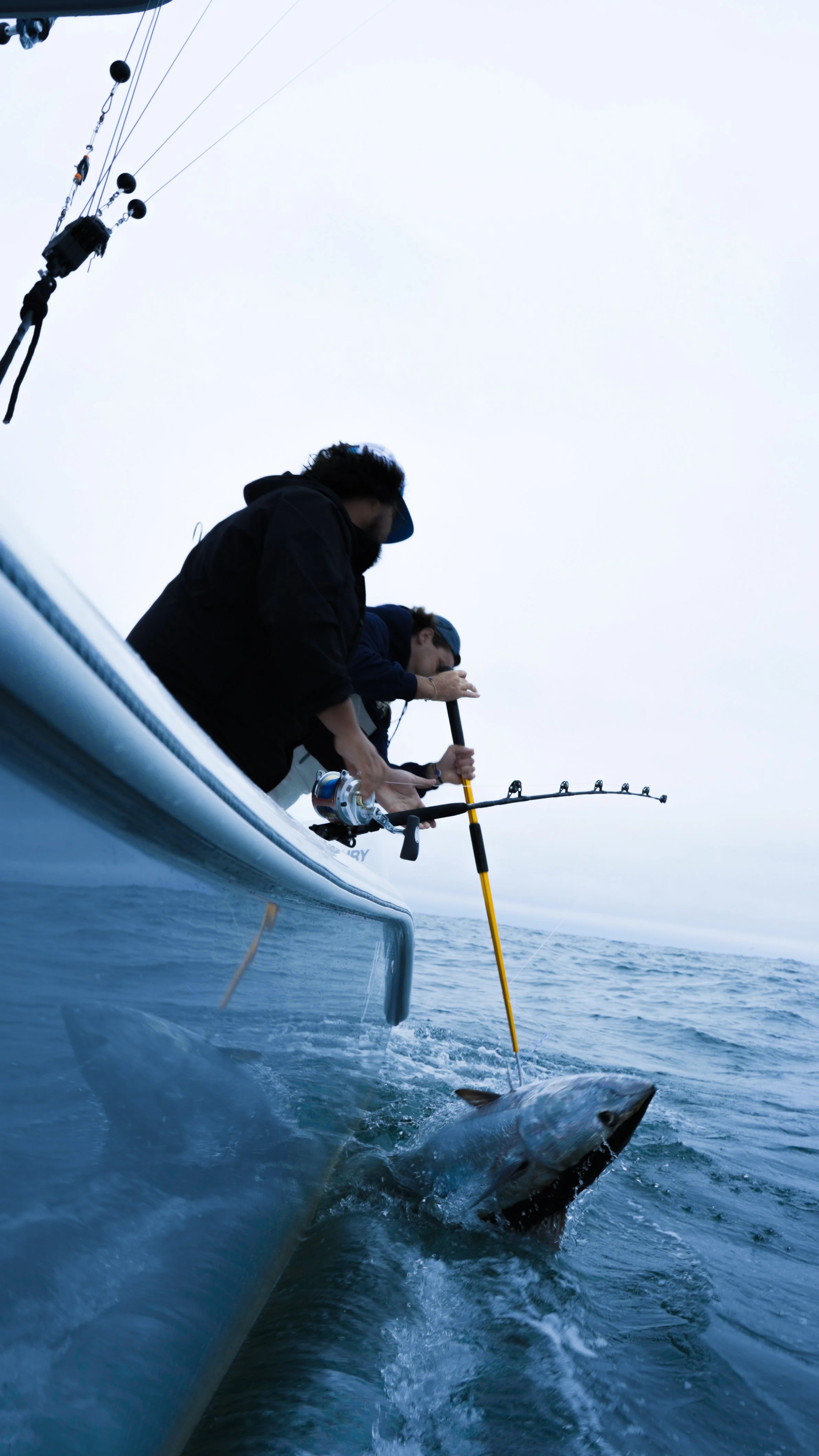 Two people on a boat fishing, with a large fish partially out of the water.