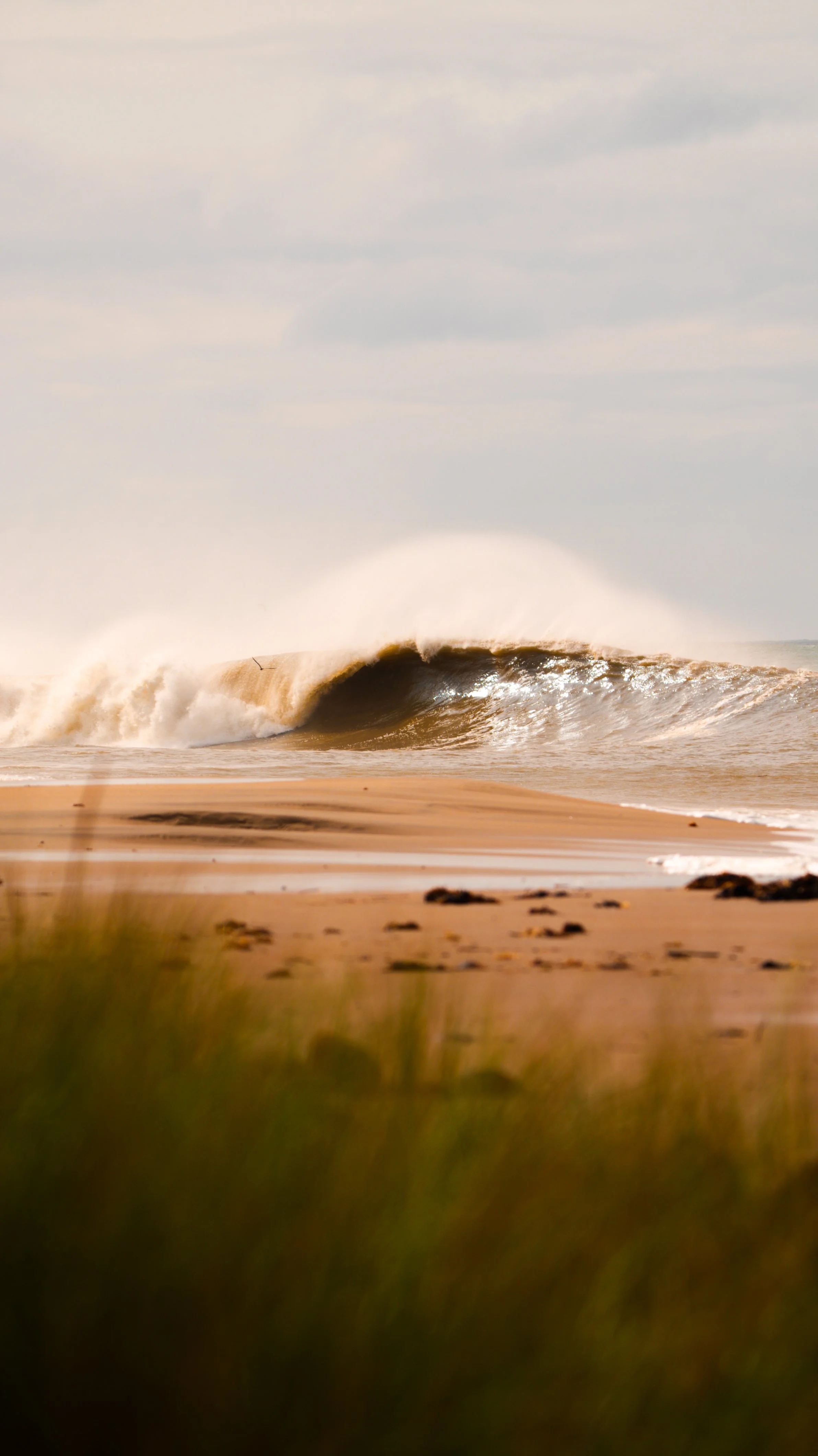Powerful beach-break during hurricane Lee off the coast of Massachusetts.