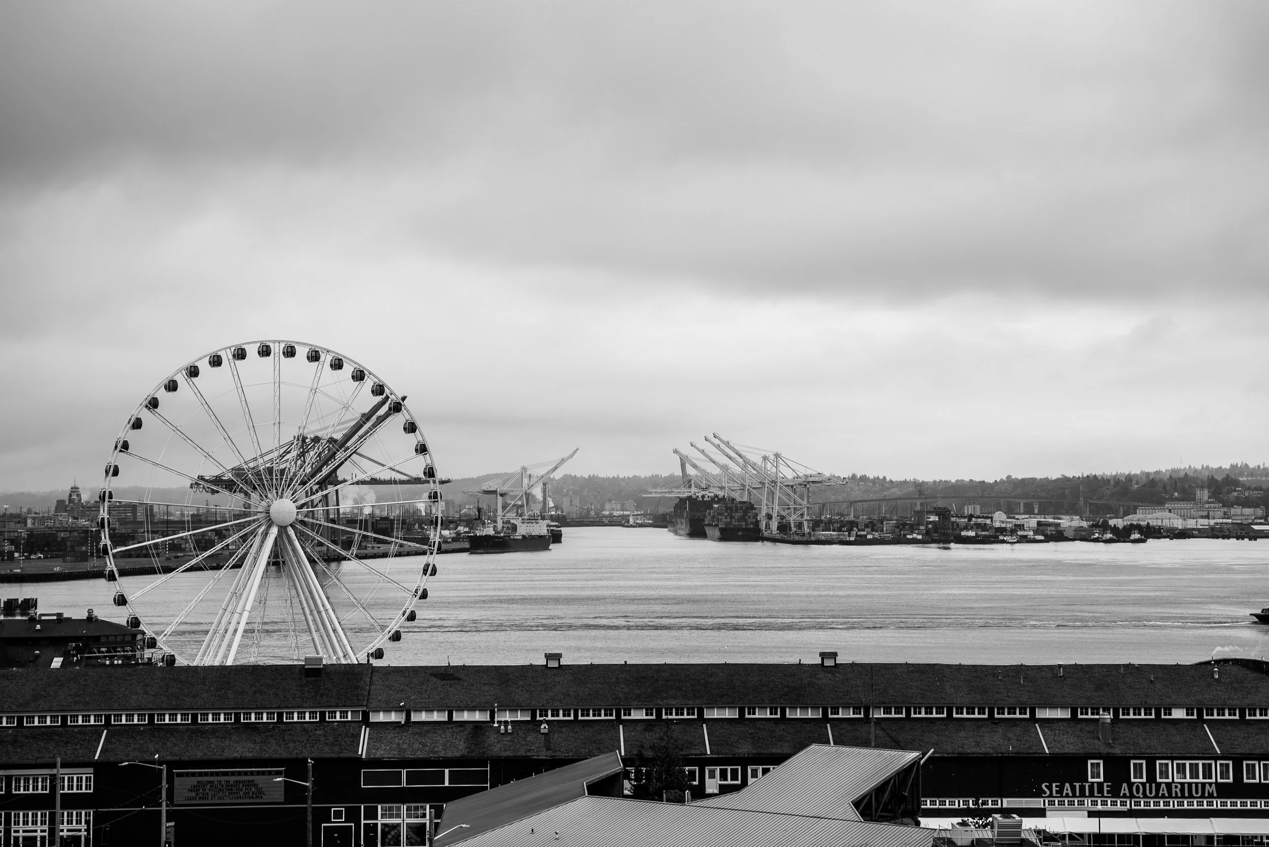 DSC06602.jpg