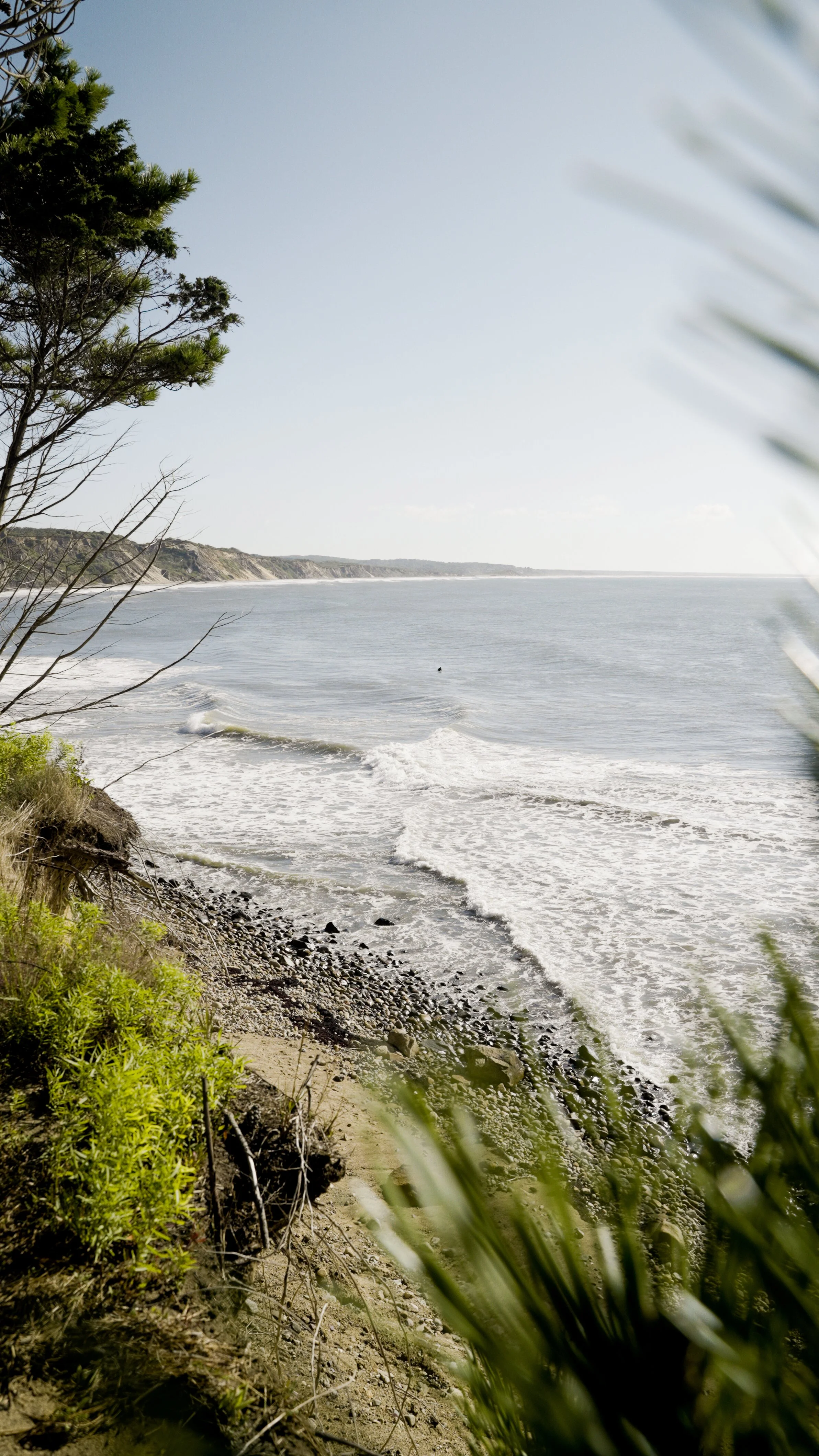 Beach view from a cliff with ocean waves and vegetation