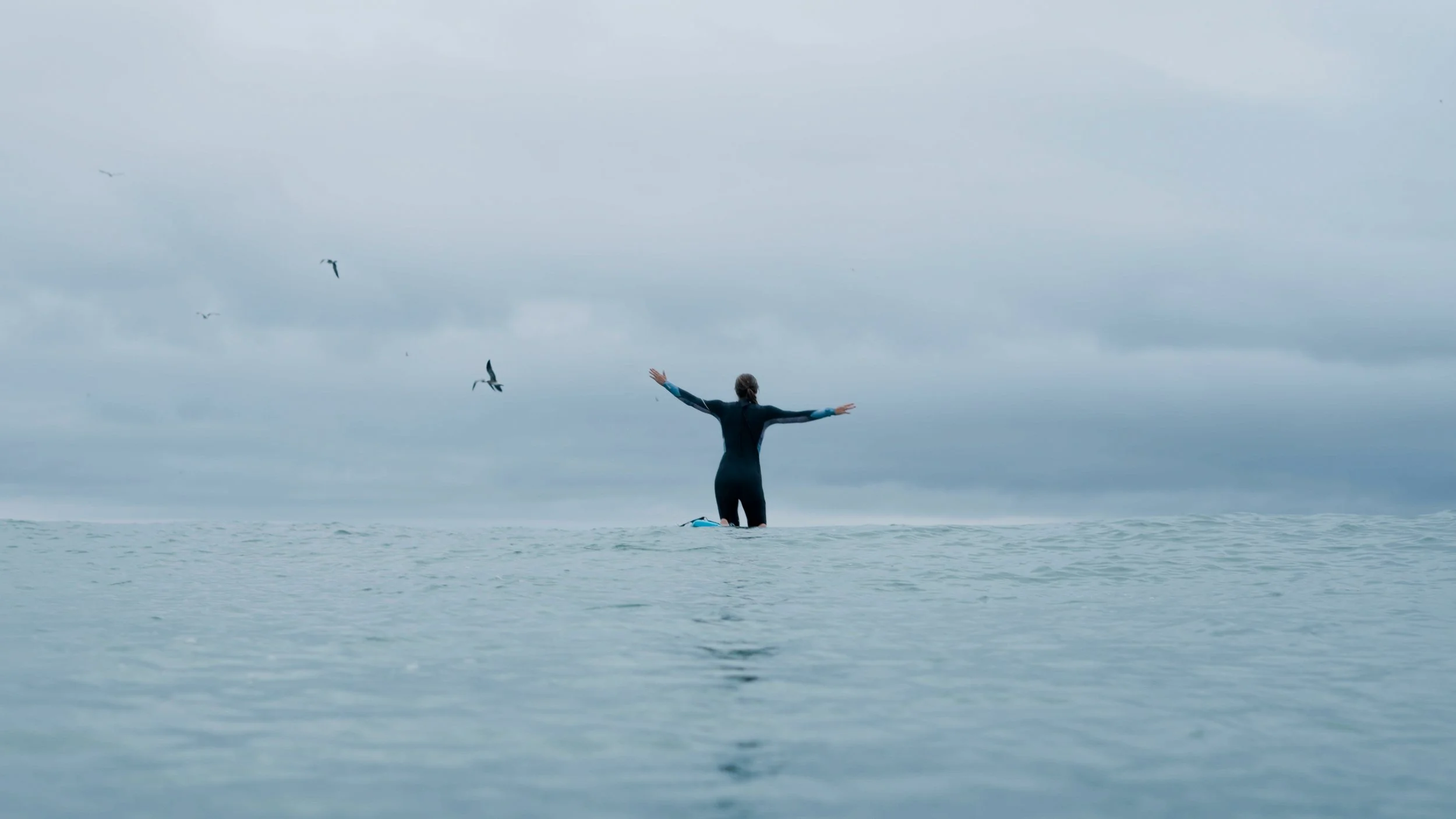 Person in wetsuit standing on surfboard in ocean with arms outstretched and seagulls flying overhead.