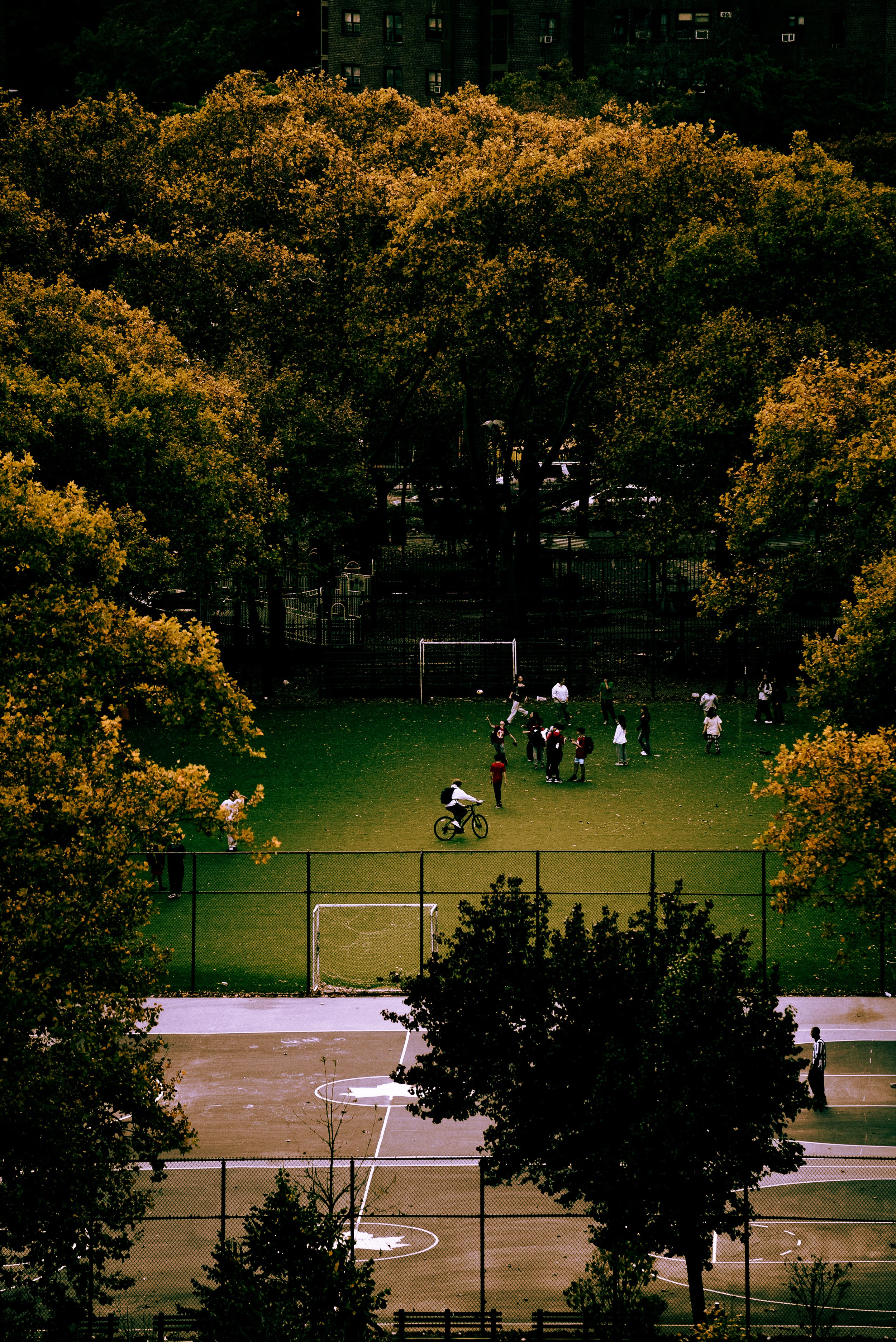 DSC03173.jpg