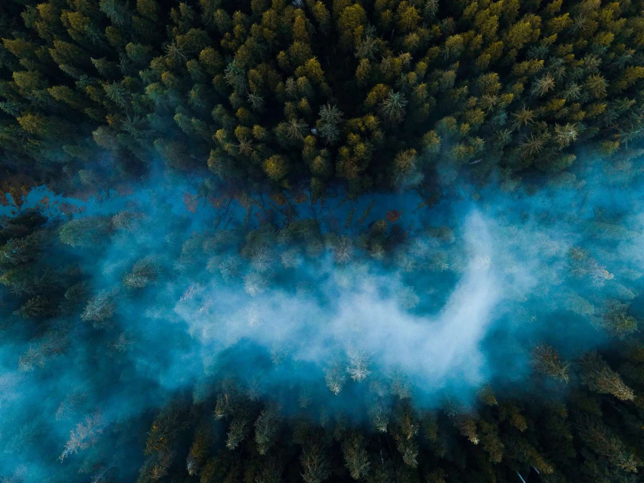 DJI_0286.jpg