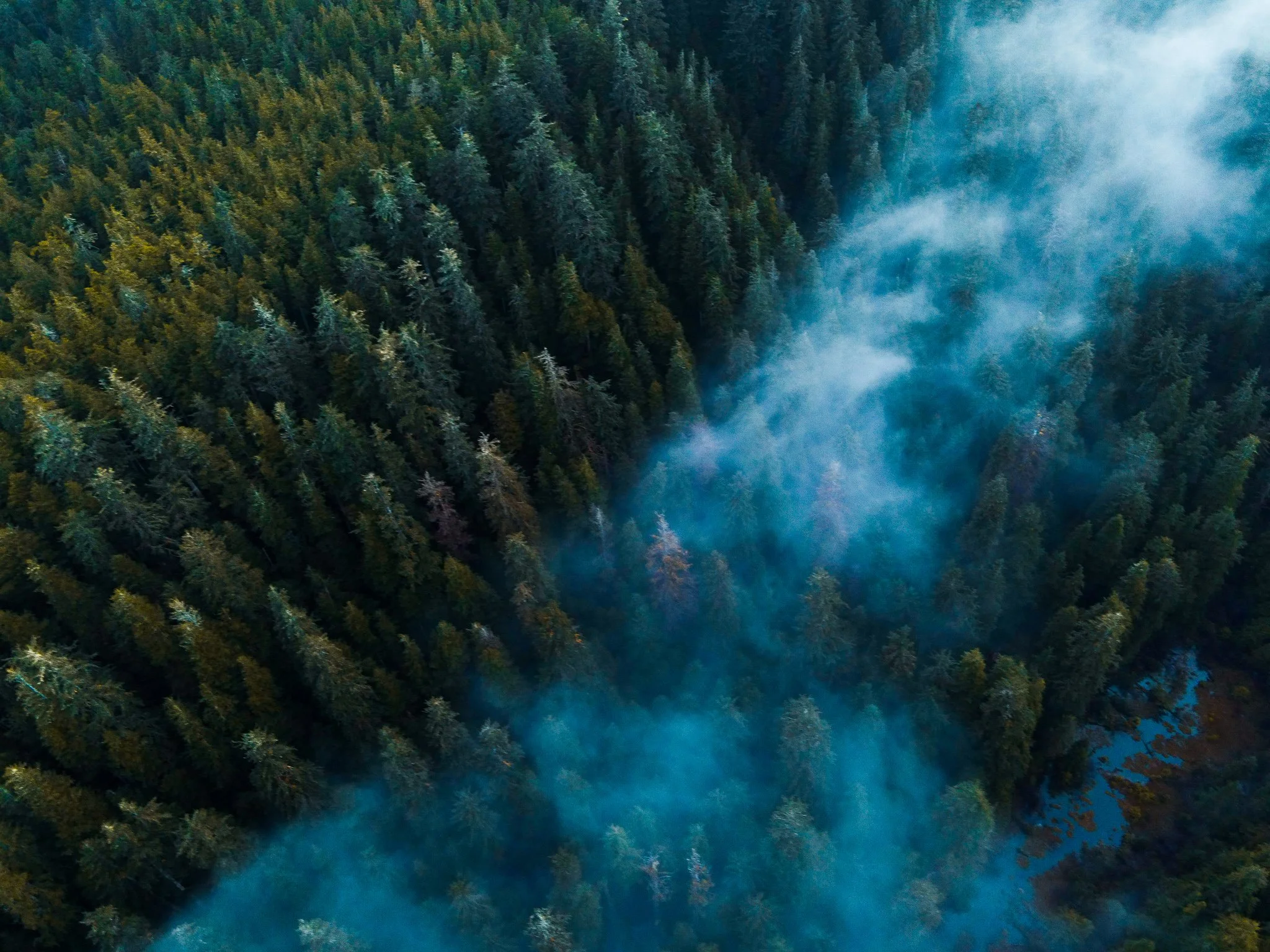 DJI_0288.jpg